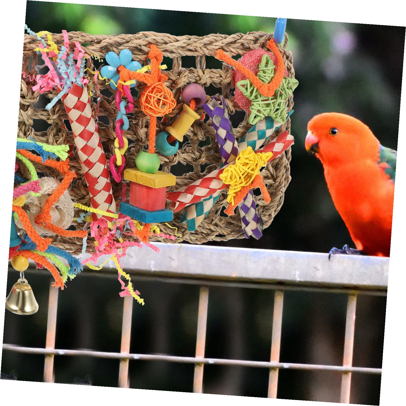 BESPORTBLE 2pièces Multi-Fonctionnel Jouet à Mâcher pour Oiseaux Tapis De Vannerie pour Perruches Et Petits Perroquets Accessoire De Cage Suspendu