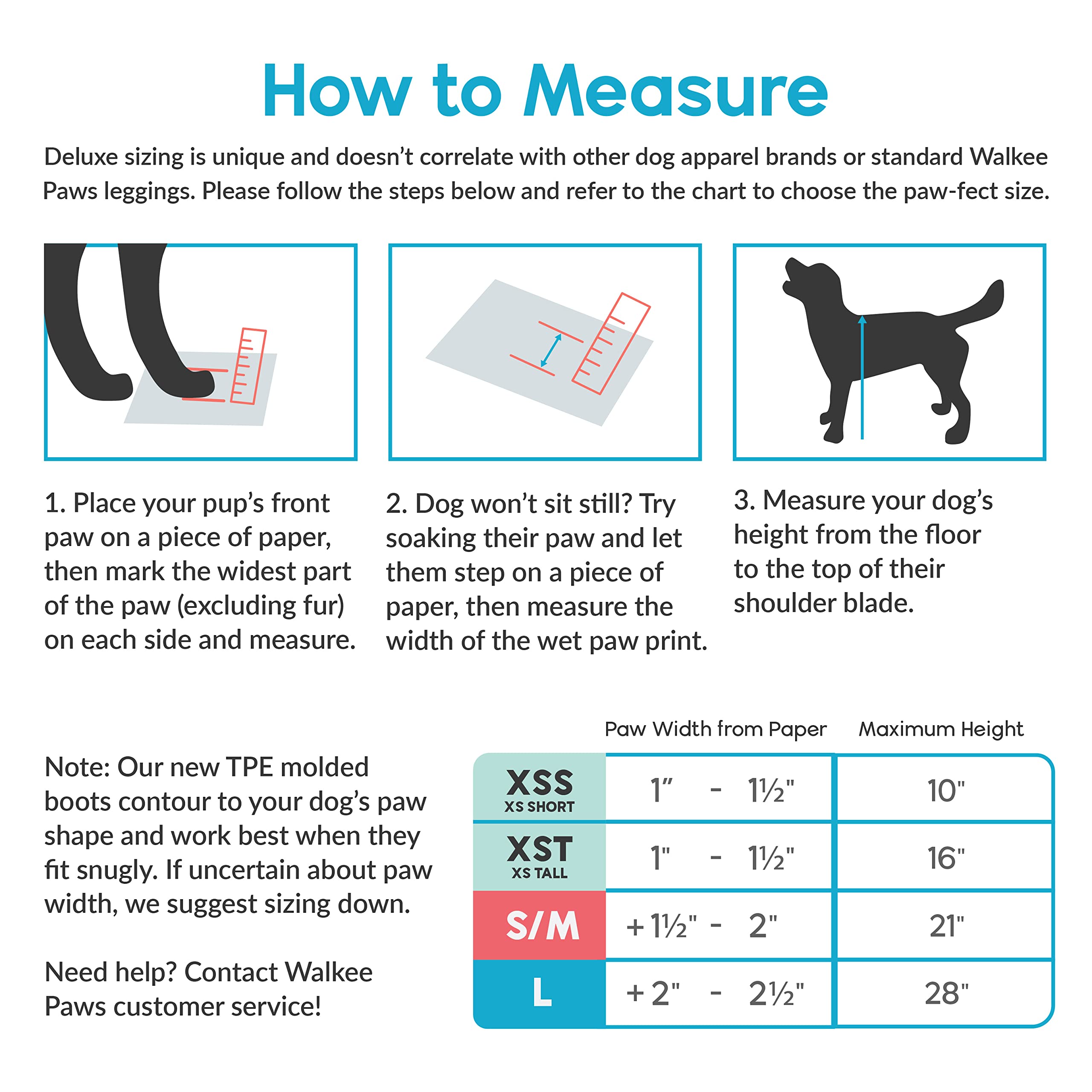 Do Puppy Paws Determine Size
