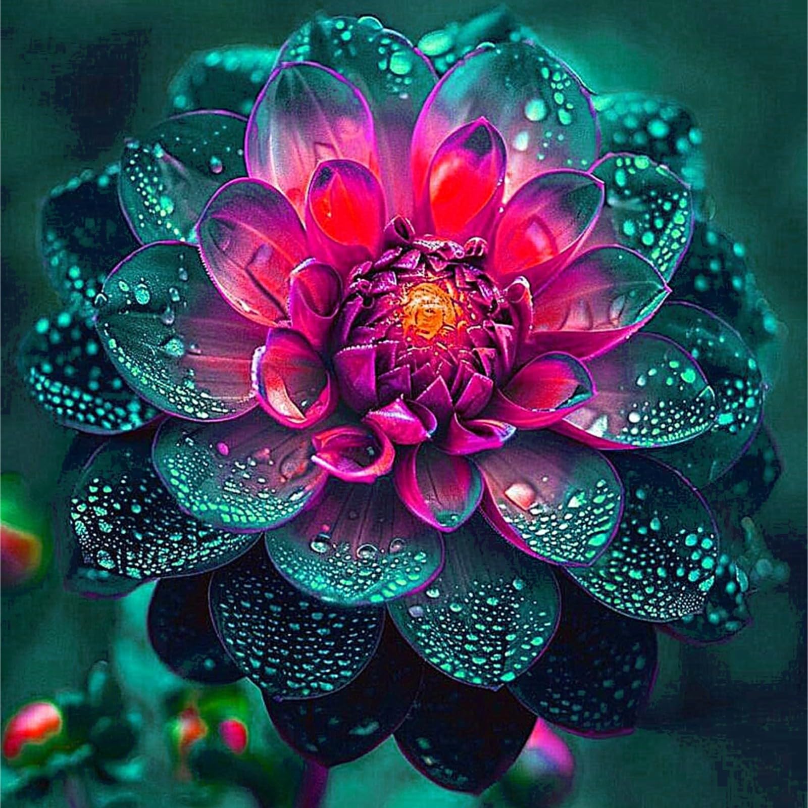 Dahlia Bulbs Mix for Planting Now UK,Hardy Perennial,Strong Plants That Grow Well,Dahlia Tubers Bulk,Flowering Rhizome,Gift Ready,Iridescent,Wedding Flowers,Cut Flowers.-4bulbs-J