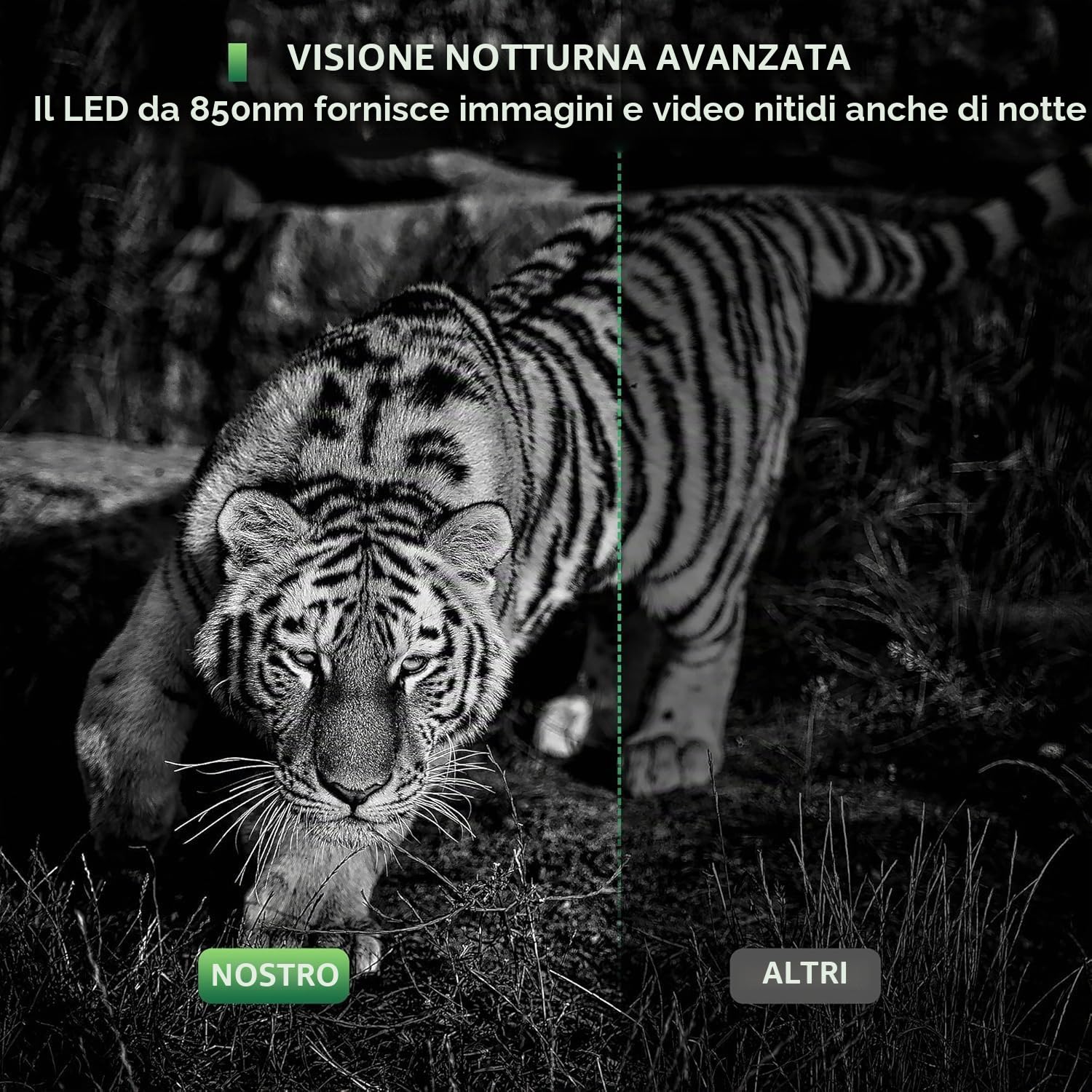 Mini Fototrappola Notturna 50 MP 4K, Fotocamera Caccia 850nm IR LED, Fototrappole Velocità di Trigger 0,2S, Impermeabile IP65, Fino a 25m, con Scheda da 32GB (MINI800)
