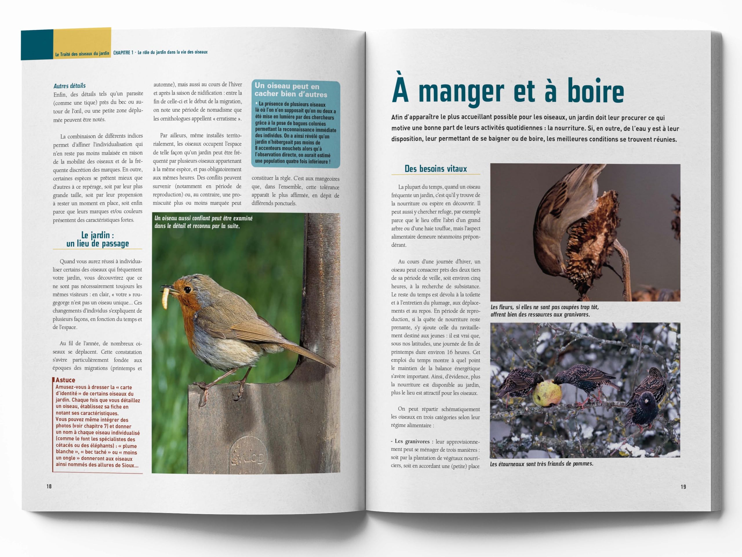 Le traité Rustica des oiseaux: Des jardins, des bois et des campagnes