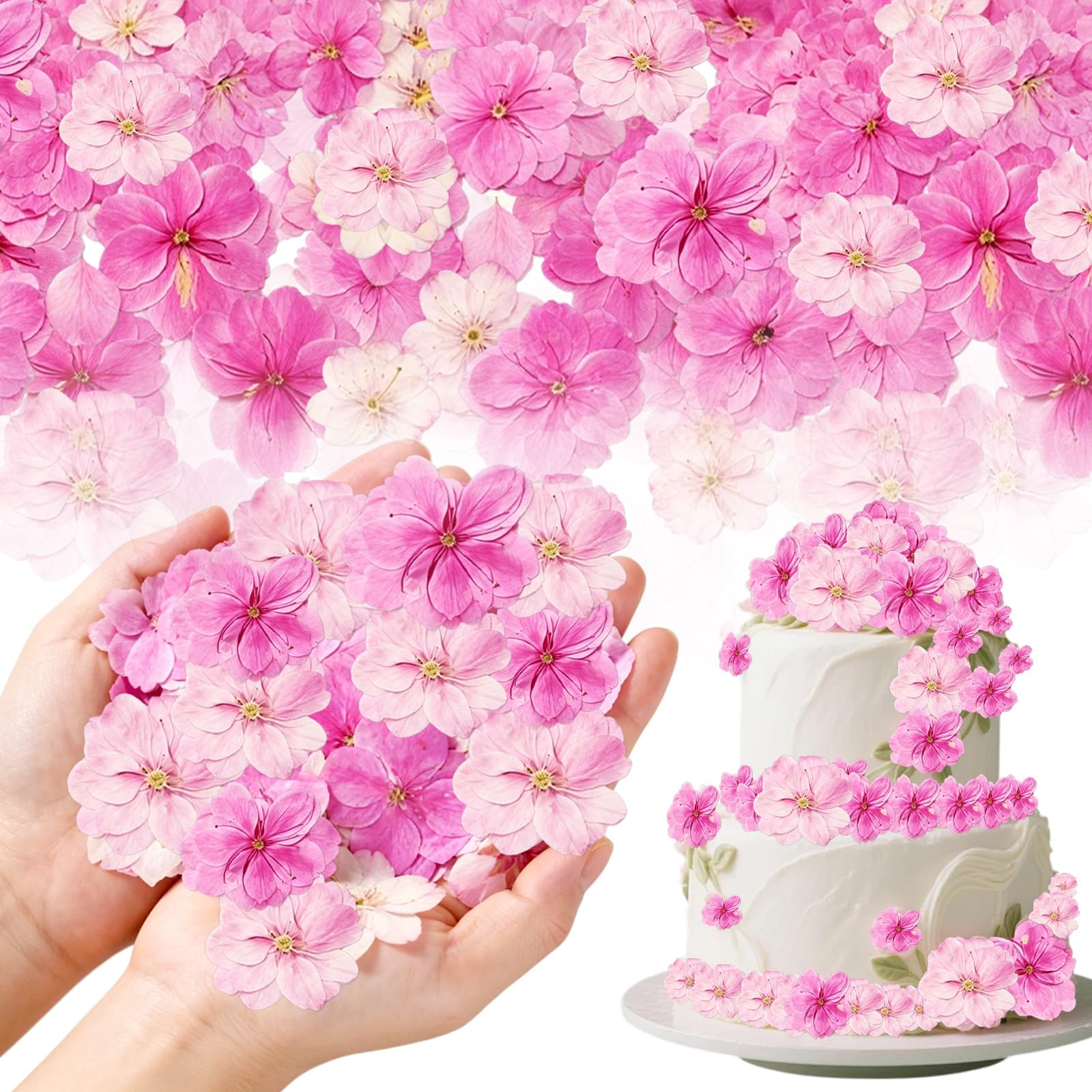 Fiori Commestibili Essiccati e Pressati 100% Naturali, Mix Rosa e Sakura, 50 Pezzi Decorazioni per Torte