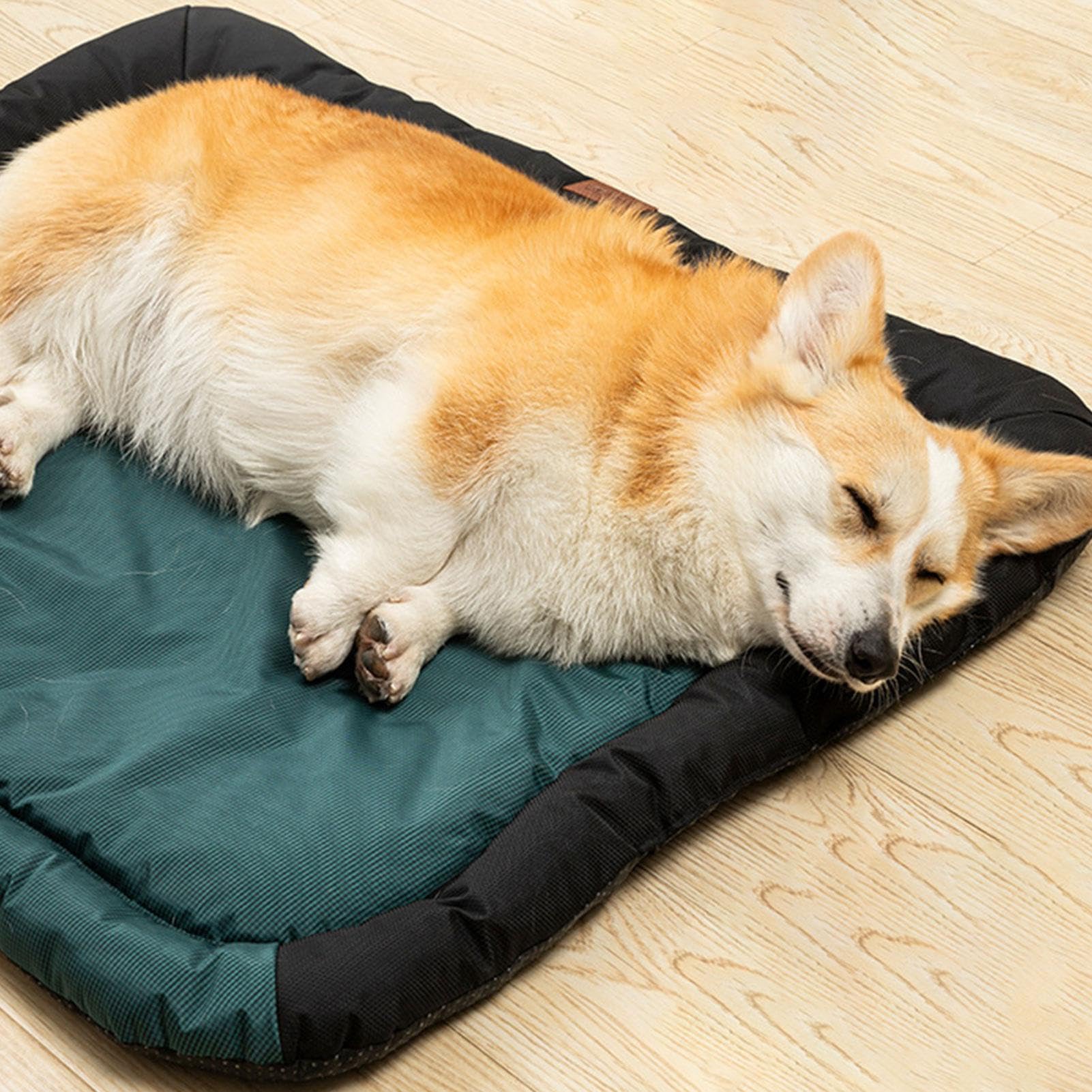 Tapis Pour Cage De Chien Coussin Chenil Chaud Doux Confortable Matelas | Coussin Canin Adapté Aux Chiens Et Chats De Taille Moyenne, Couchage Douillet En Cages Métalliques, Accesso