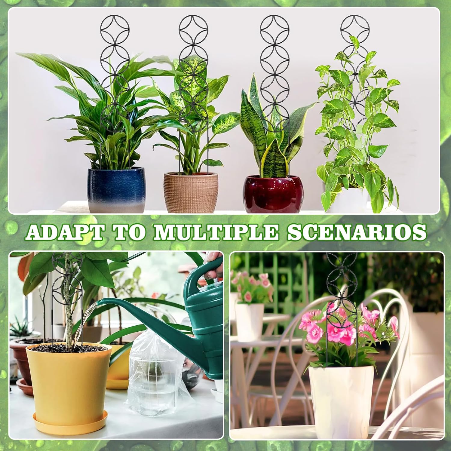 24Inch Outdoor Plant Trellis for Climbing Plants,Metal Garden Trellis for Potted Plants,Plant Stakes for Indoor Plants Accessories Hoya,Flower,Plant Support,Plant Gifts (24IN-Coin)