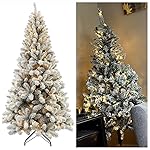 Review Image by Dawn Whitby Dawn Whitby