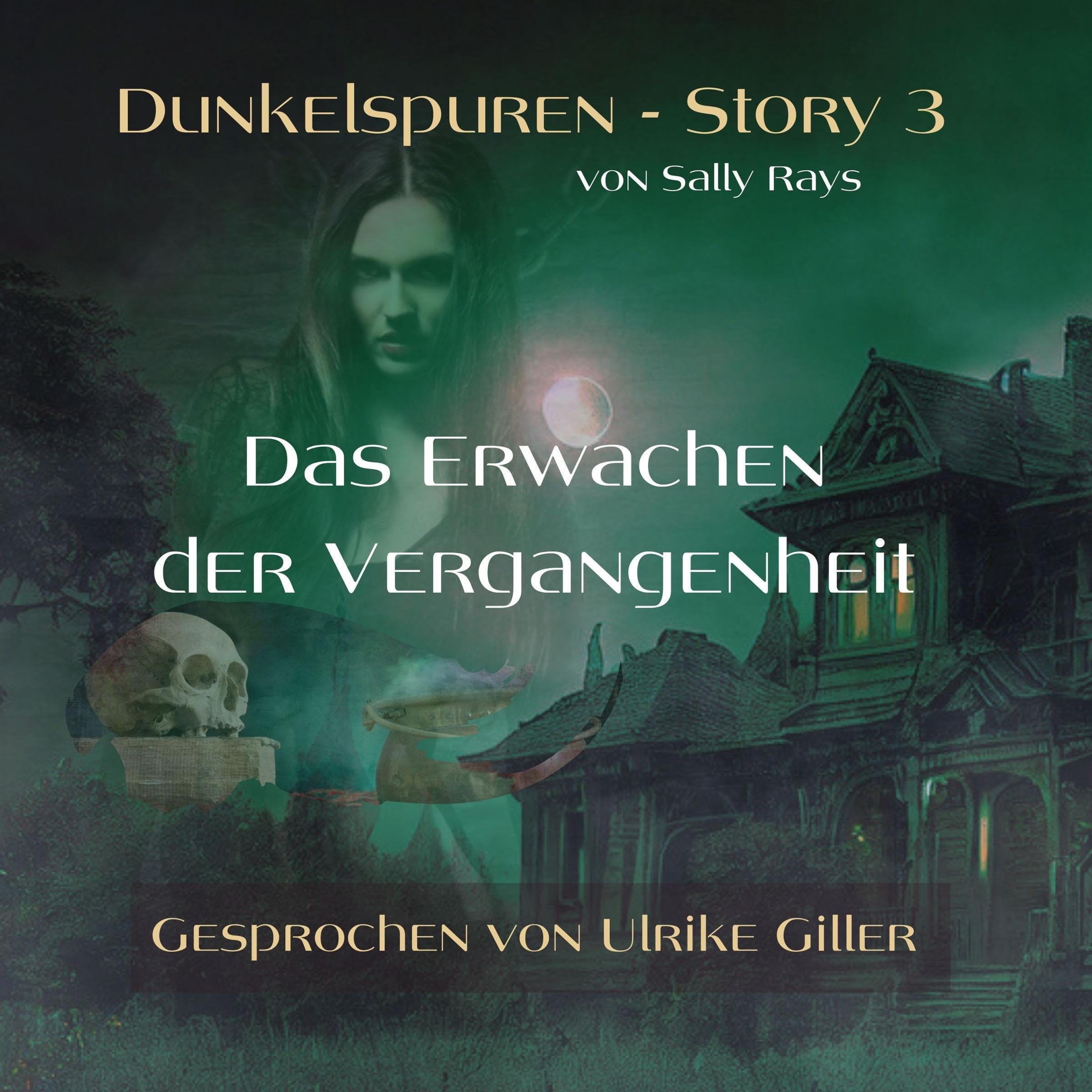 Cover art for Das Erwachen der Vergangenheit