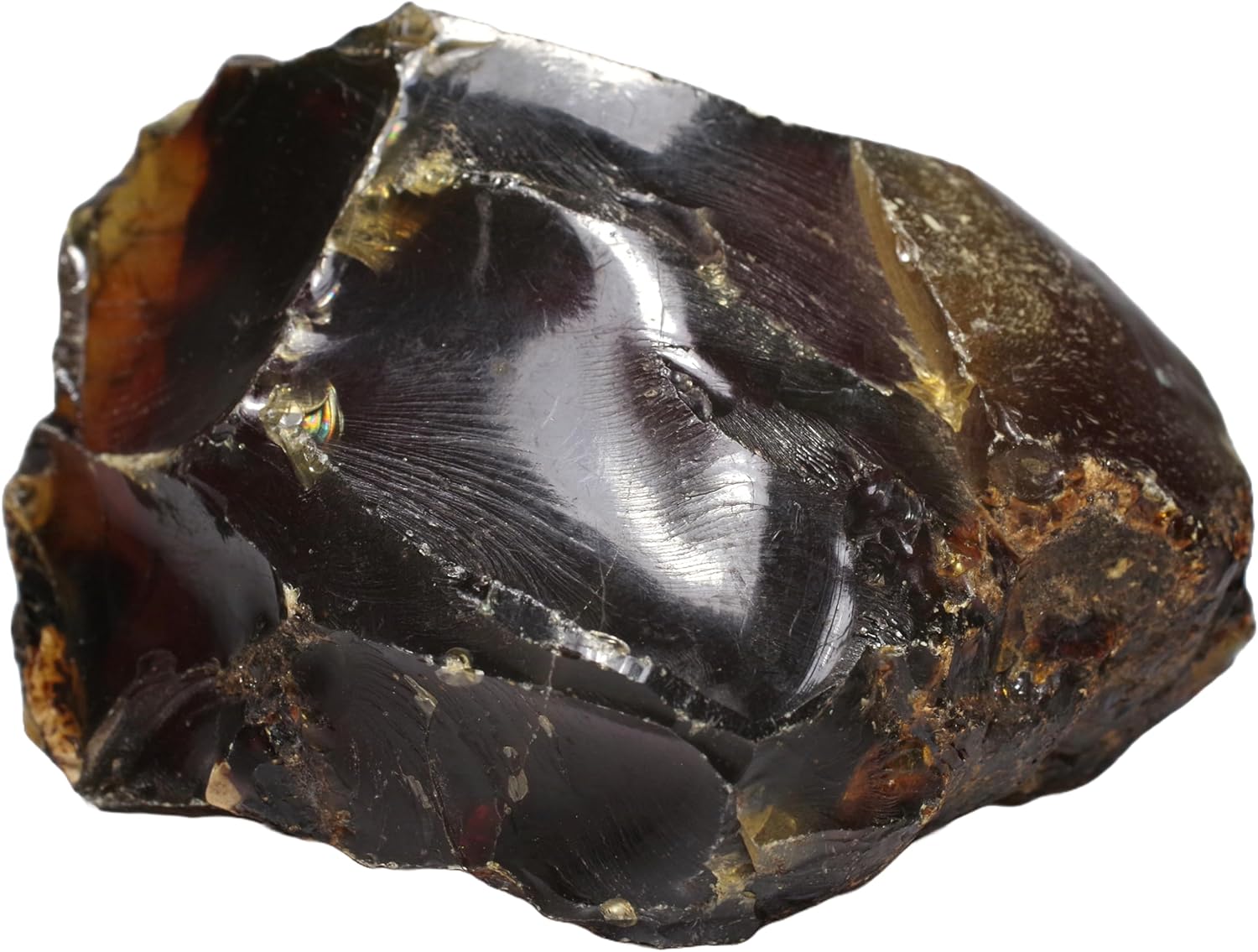 レア極上品羽根TT0023虫入り琥珀化石ミャンマーカムティかタナイ9900万