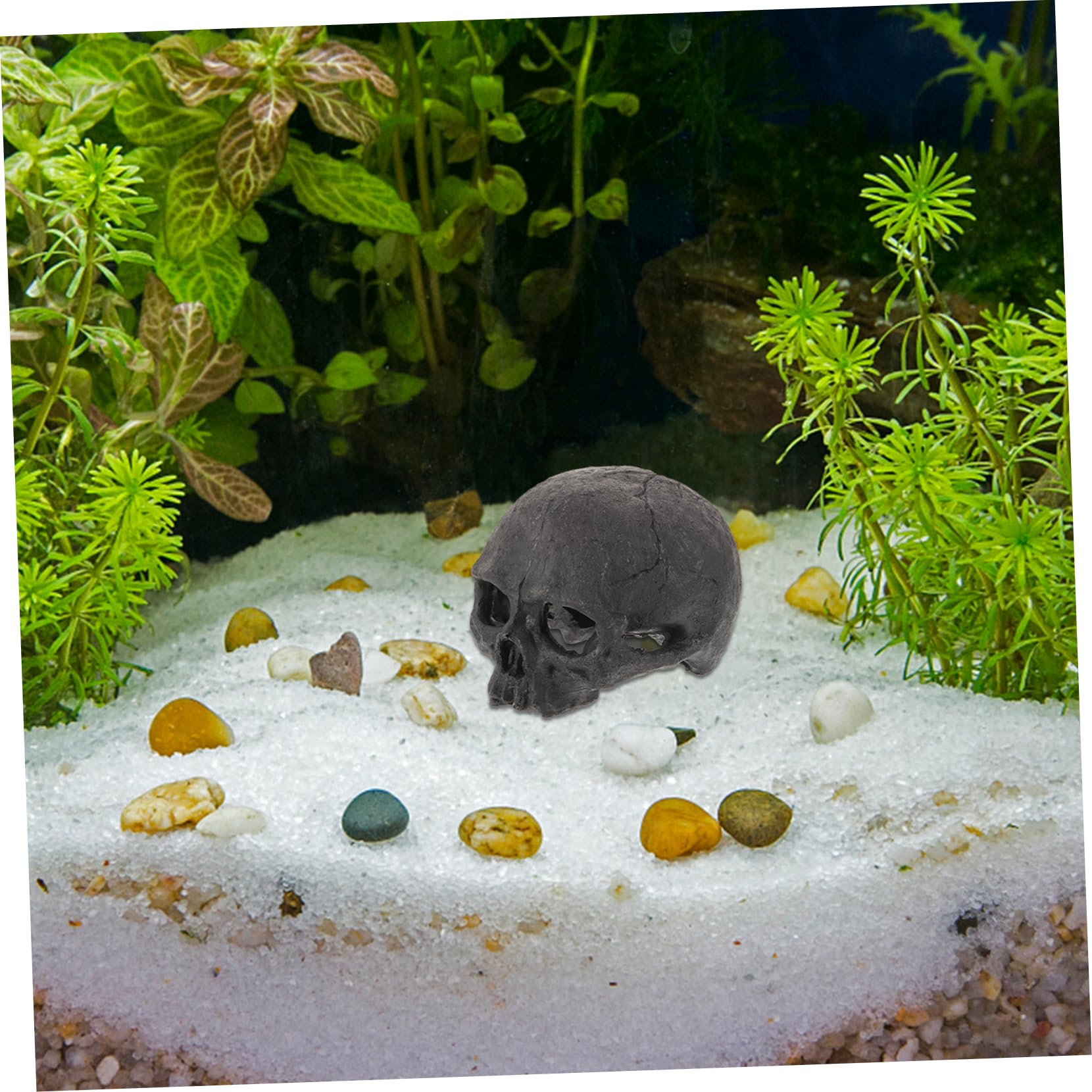 Alipis 5 Pezzi Decorazione con Resina per Terrario Soprammobile Halloween Realistico Accessorio per Rettili e Resistente all
