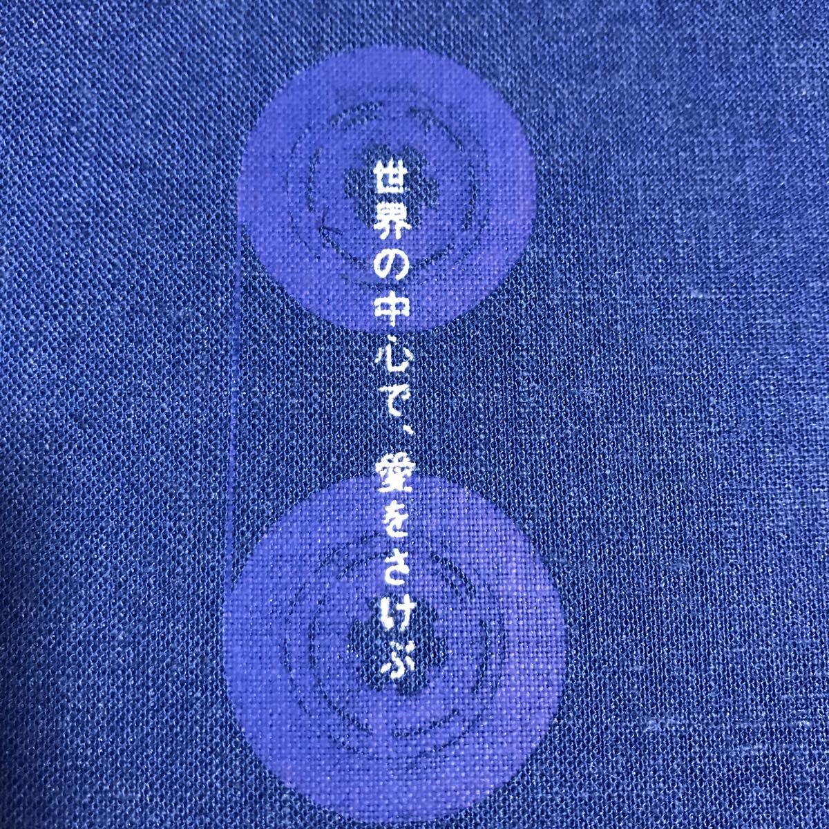 Amazon.co.jp: 貴重です！ 映画 「世界の中心で、愛をさけぶ」 完全