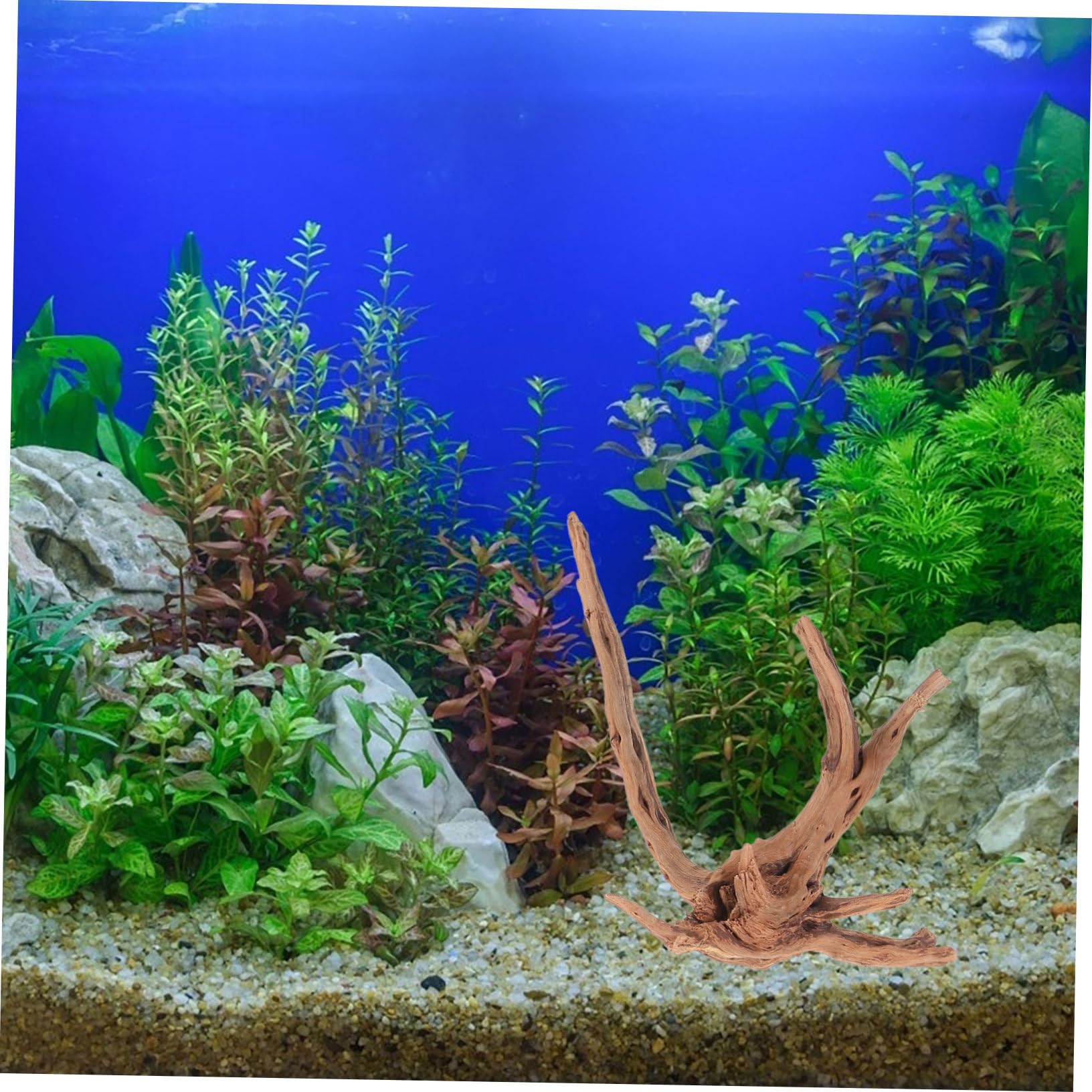 Toddmomy 3piezas Madera Flotante para Pecera Decoración Natural De Madera Flotante para Acuario Adorno De Tocón De Planta para De Acuario para Peceras y Hábitats De Reptiles