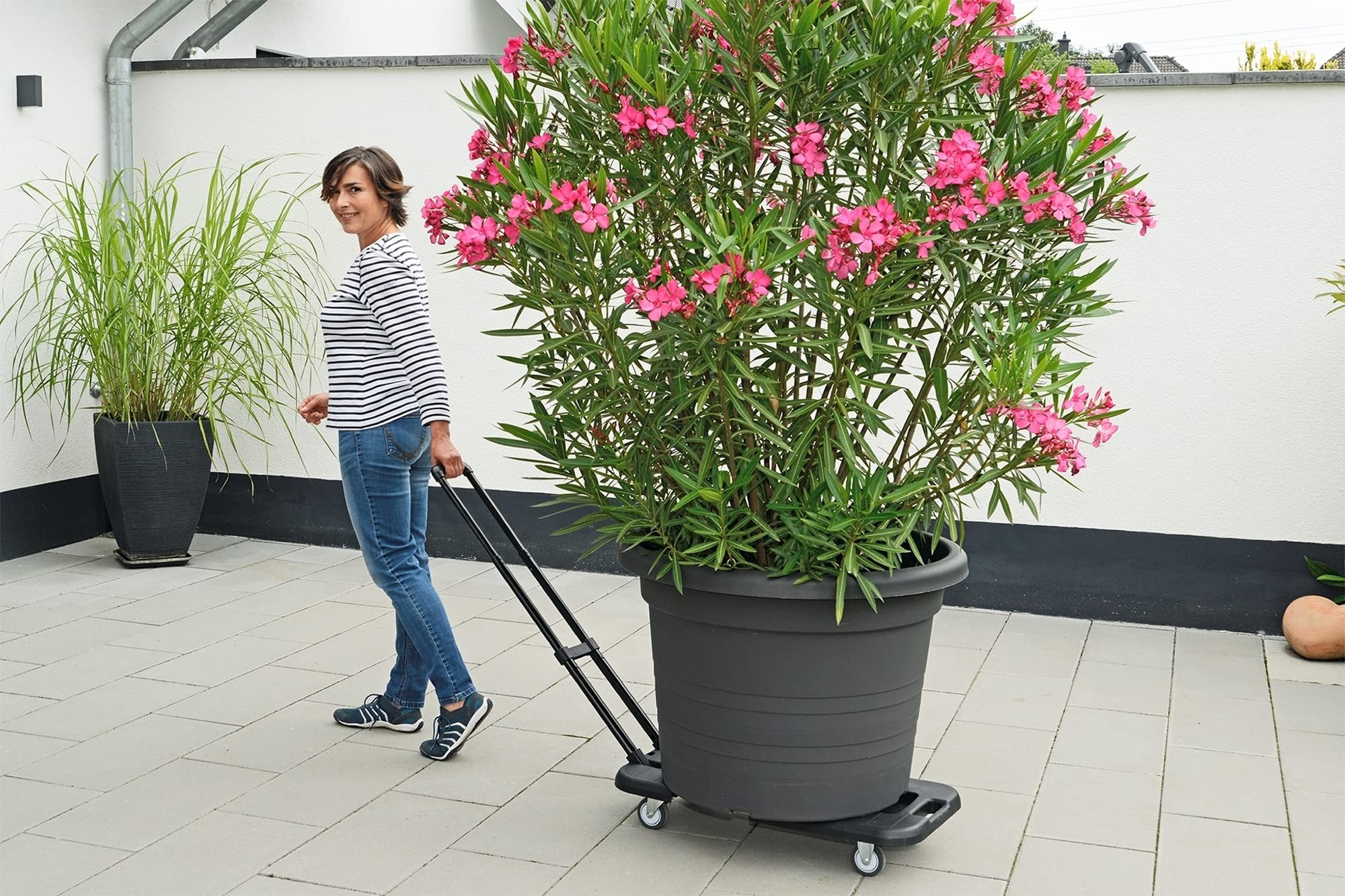 Maximex Sackkarre Mod. Transport-Profi ausziehbarer Ziehwagen stabile Transporthilfe mit höhenverstellbarem Griff bis 150 kg belastbar 56-76x38x13,5 cm Kunststoff PP Stahl TPR Schwarz Silber