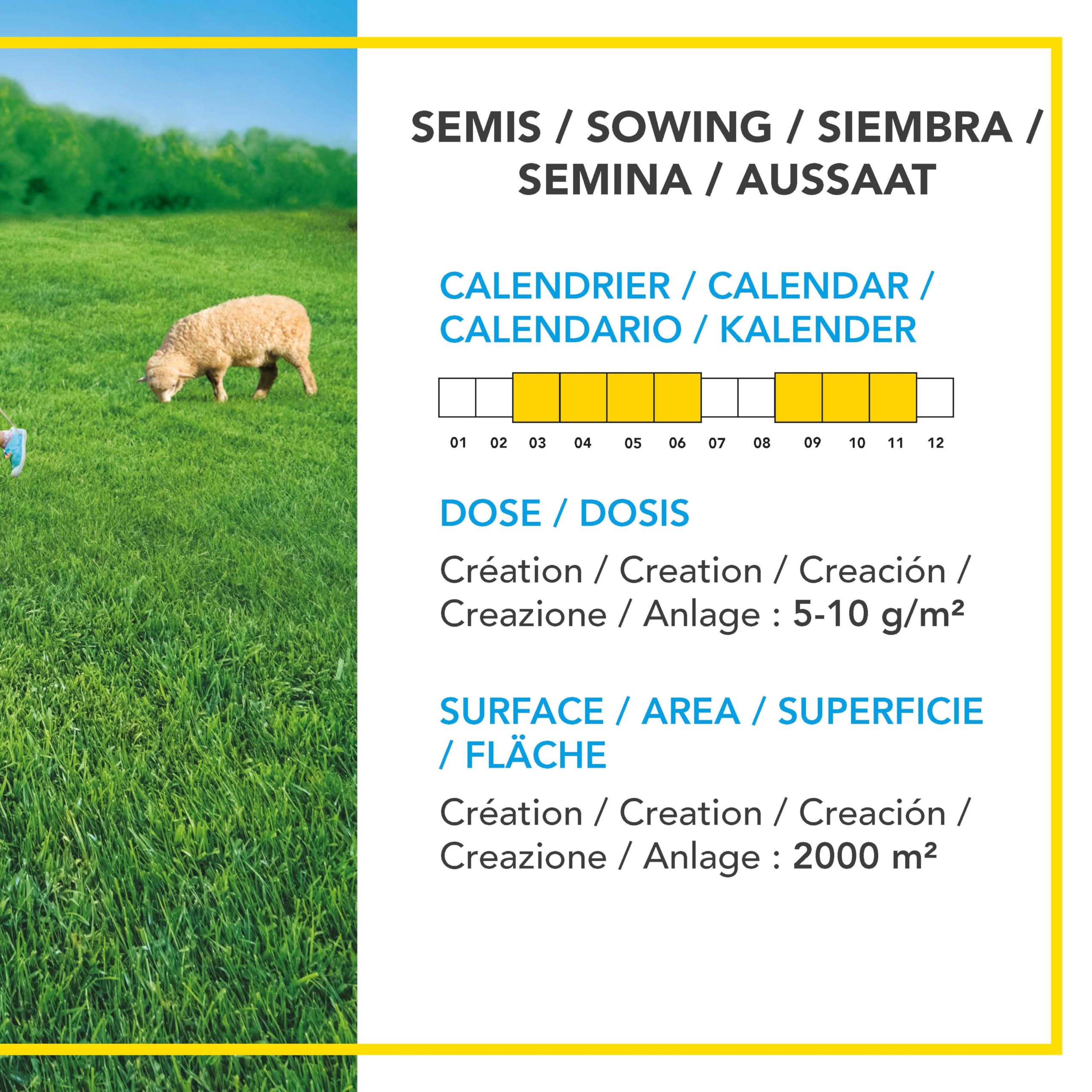 BARENBRUG - Pradera 100 % Raigrás Inglés BIO - Instalación Rápida - Polivalente y Apetente - Muy Buena Durabilidad 4 años o más - Fabricado en Francia - 10 Kg