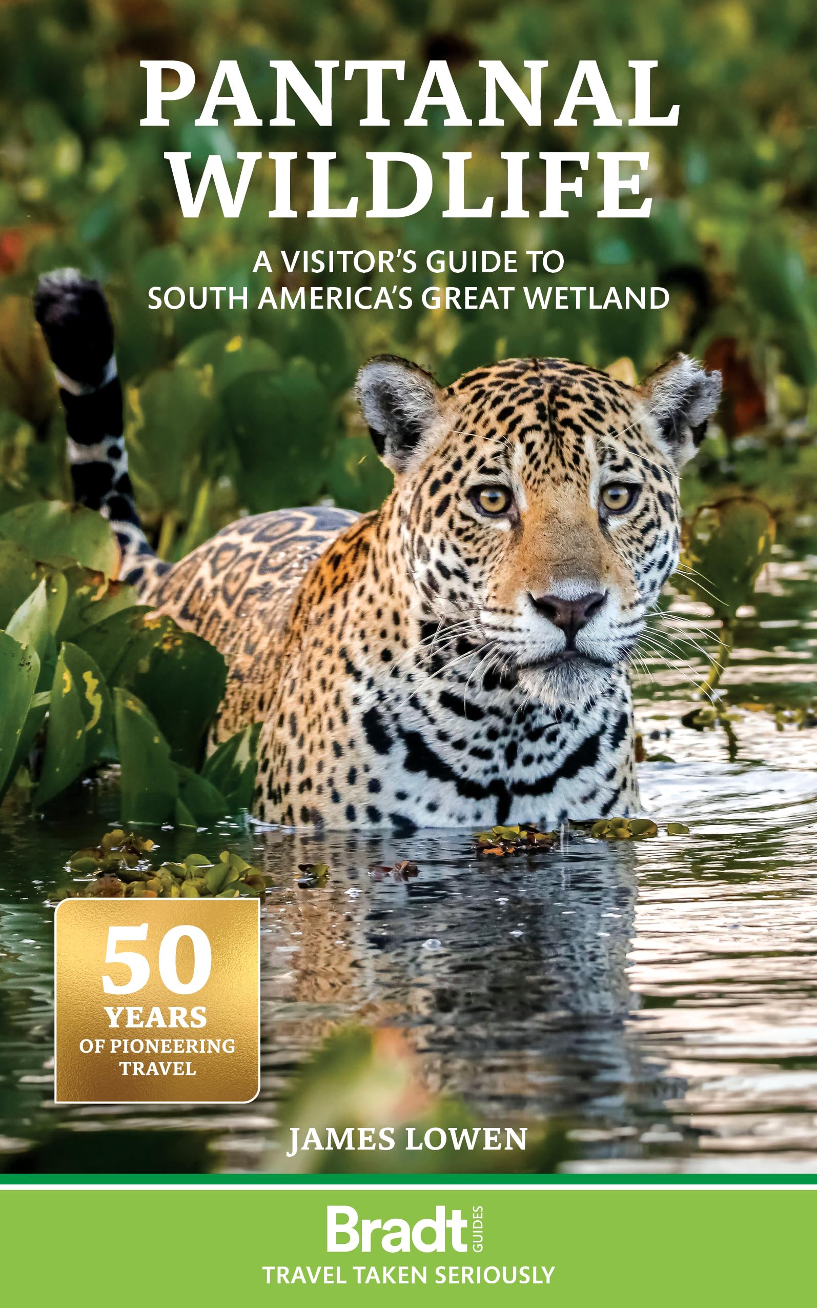 Bradt Pantanal Wildlife (Travel Guide): A Visitor's Guide to South America's Great Wetland
