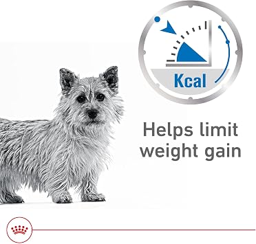 Royal Canin Canine Care Nutrition Weight Care Adult Loaf in Sauce Dog Food, 5.2 oz (Pack of 24)