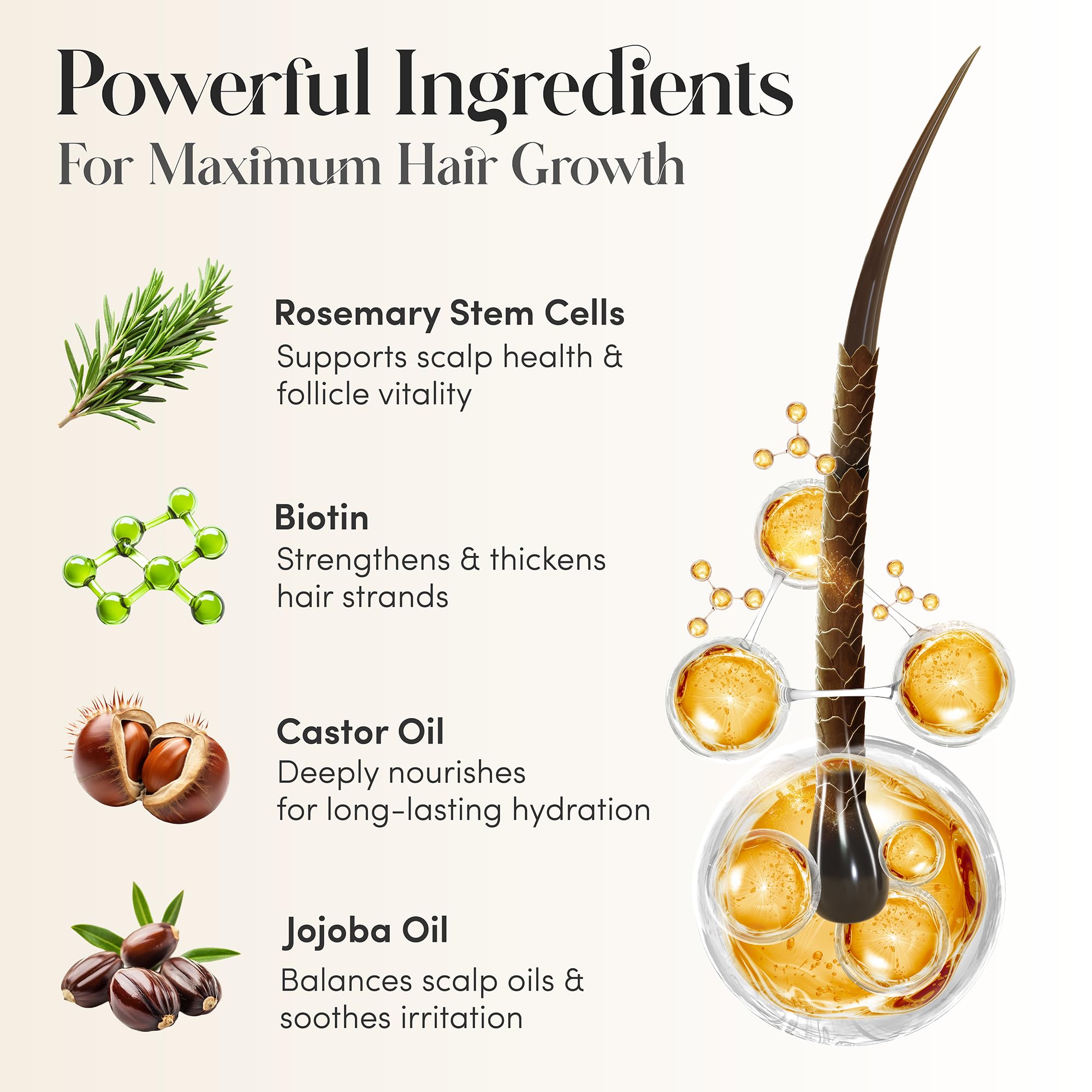 Hair Oil