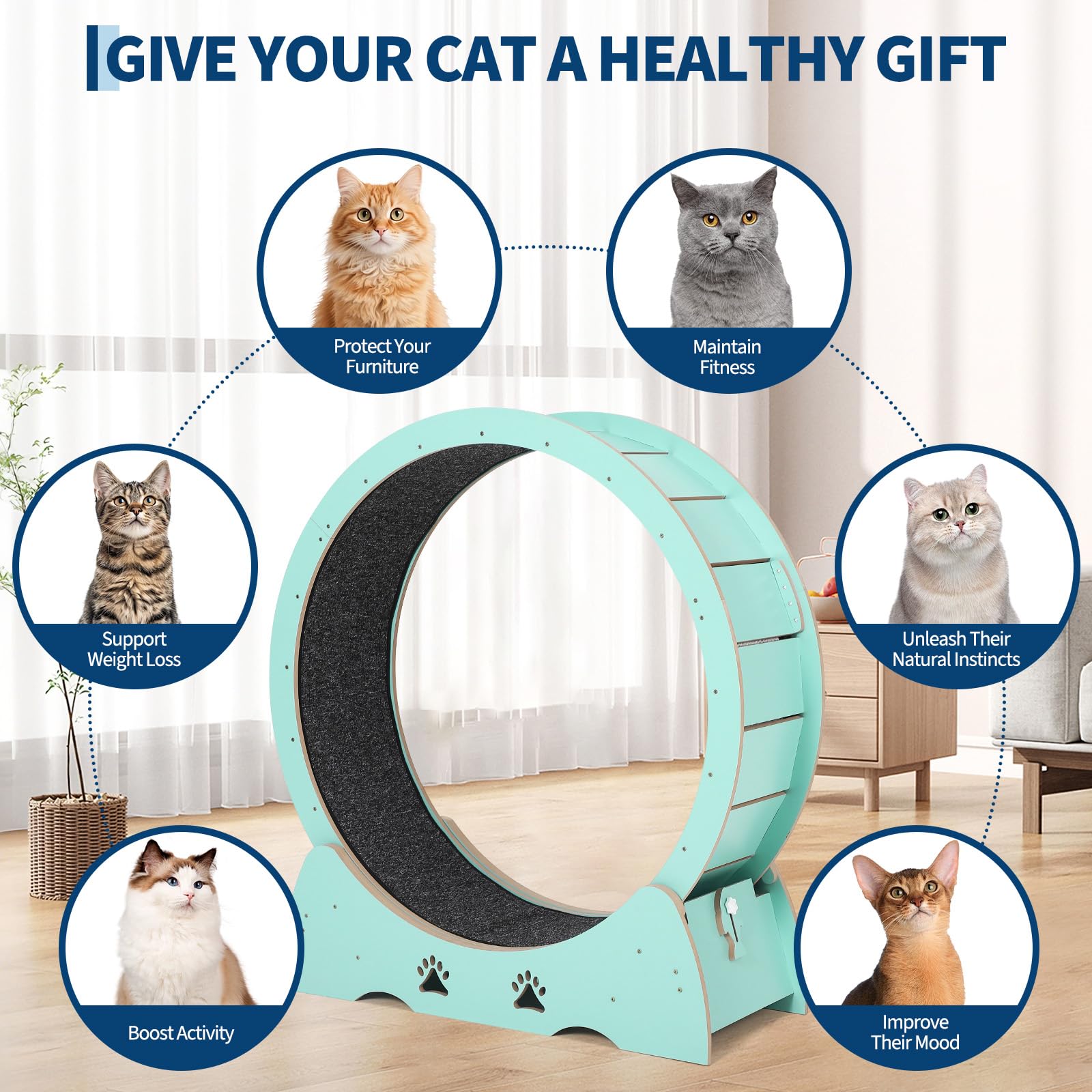 Katzenlaufrad Extra Groß 87 cm, Ultraleises Laufrad Katze mit Teppichmatte, Spielzeug-Set & Sicherheitsverriegelung, Stabil für Alle Katzenrassen