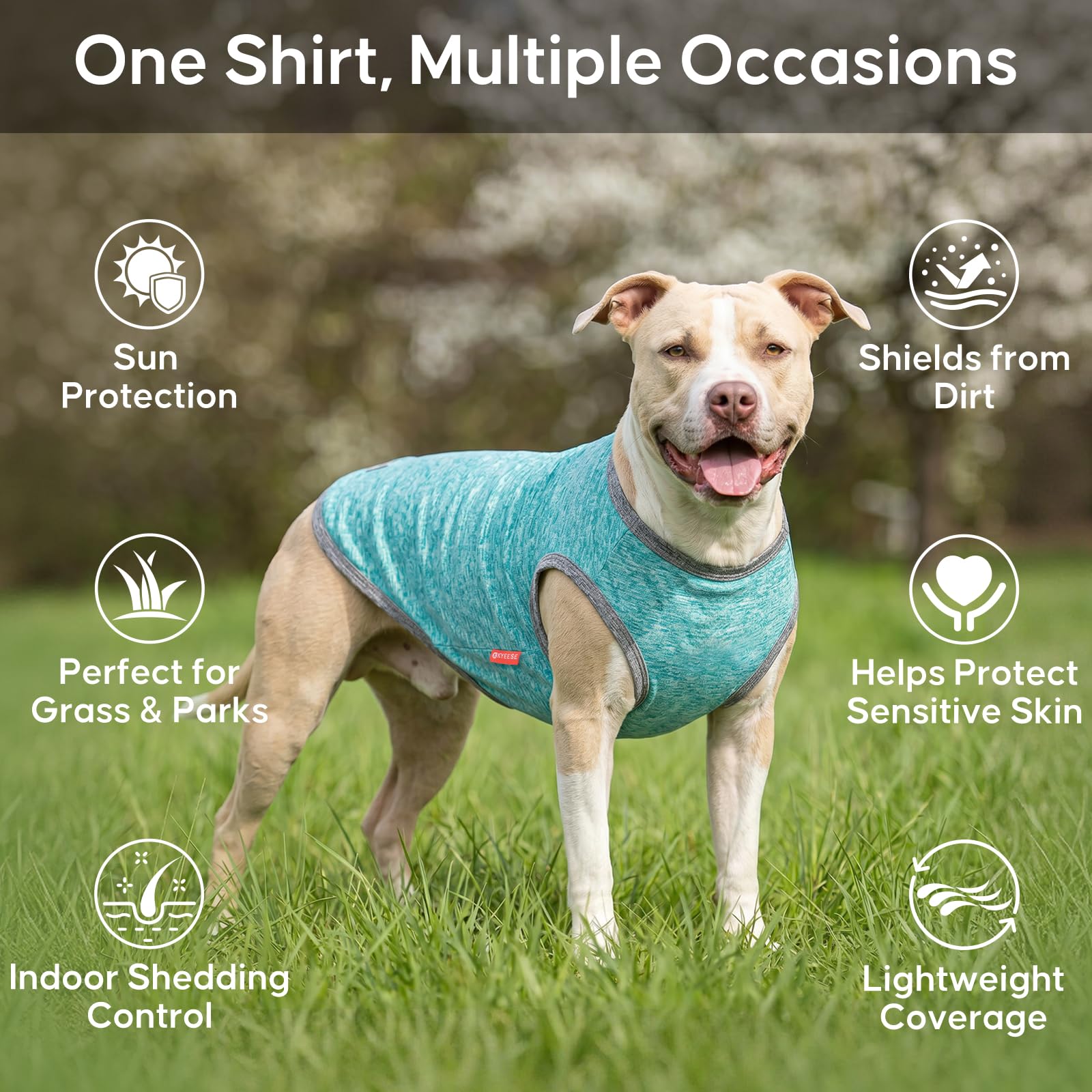 KYEESE Paquete de 2 camisas para perro, protección solar, secado rápido, suaves, elásticas, con etiqueta reflectante, chaleco sin mangas, ropa para perros pequeños y medianos, S, gris y azul
