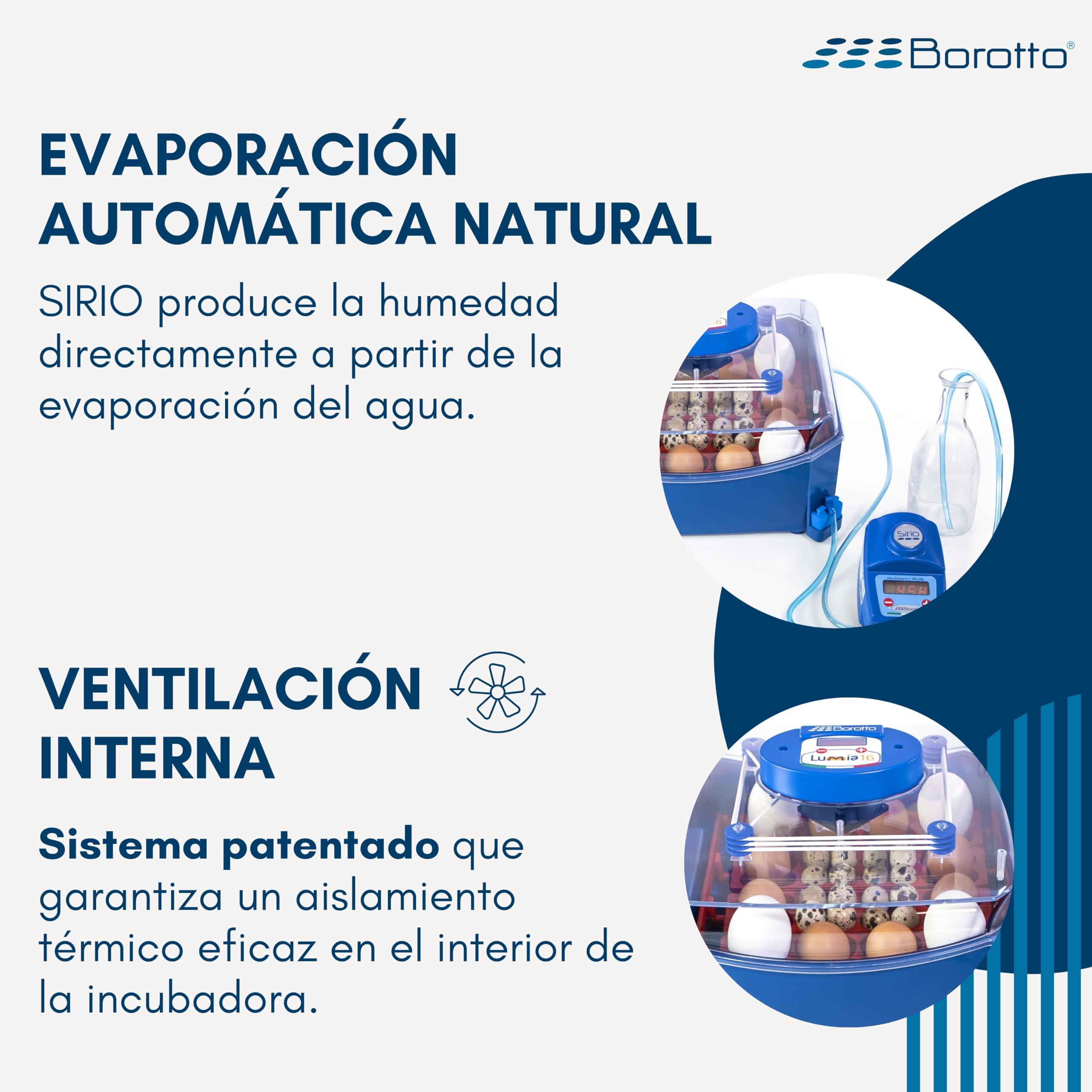 Borotto Lumia 16 Expert | Incubadora de Huevos Automática Profesional Patentada 16 Huevos o 64 Pequeños con Volteador de Huevos Automático, Control de Temperatura, Humidificador Sirio | Made in Italy