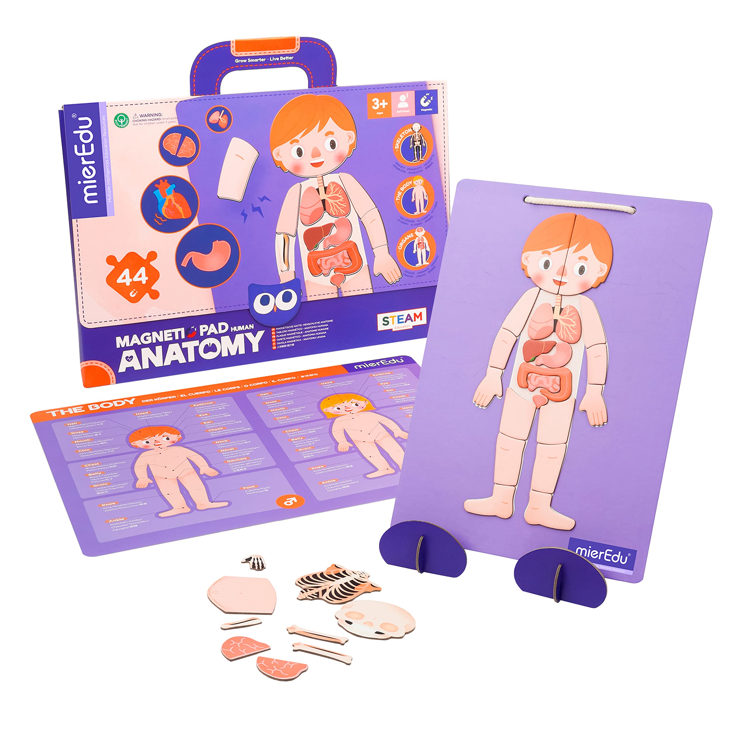 mierEdu Magnetpuzzle Menschliche Anatomie, Magnetisches Lernspiel für Kinder ab 3 Jahren, Montessori Spielzeug zur Förderung des Körperverständnisses, Magnettafel & Puzzle Pad für spielerisches Lernen