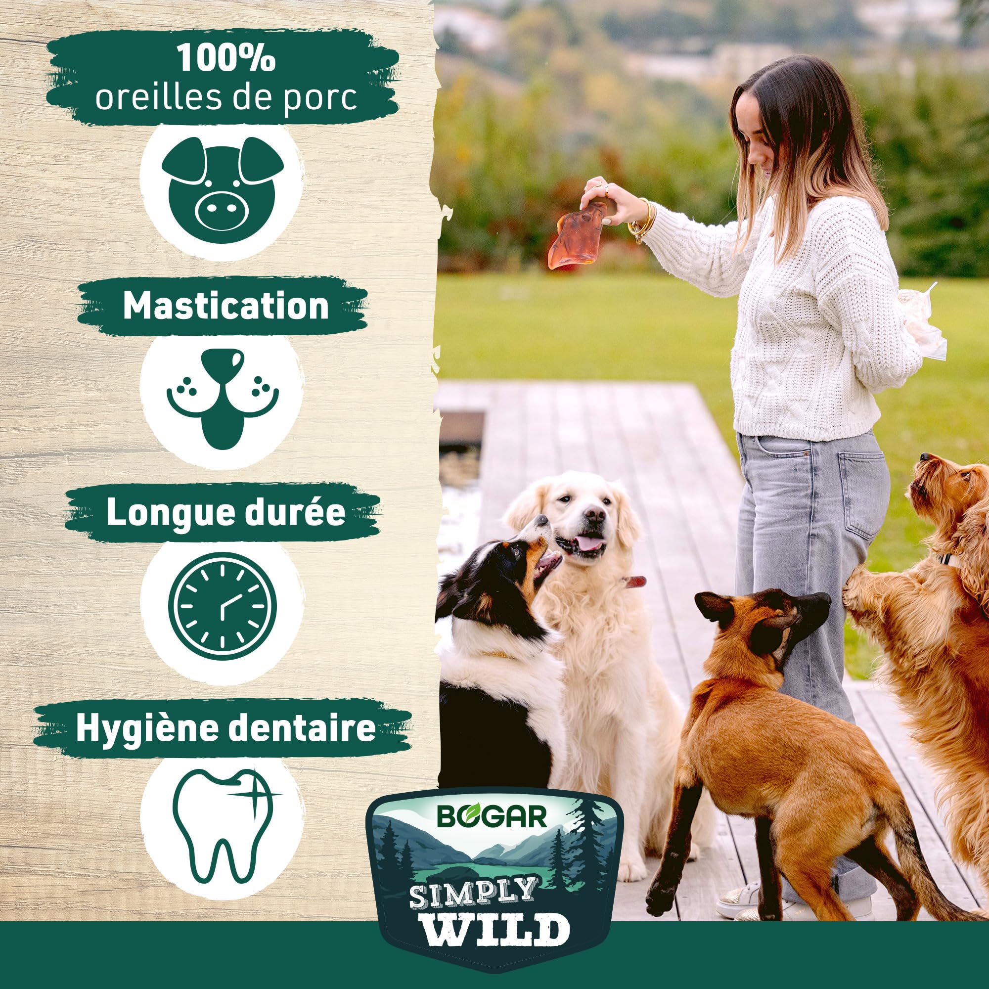 Bogar - Simply Wild - Friandises pour Chien - Nourriture pour Chiens en Complément de l'Alimentation Habituelle - Friandise sous forme d'Oreilles de Porc - 100% Porc Séché - Aide à la Mastication - 2x