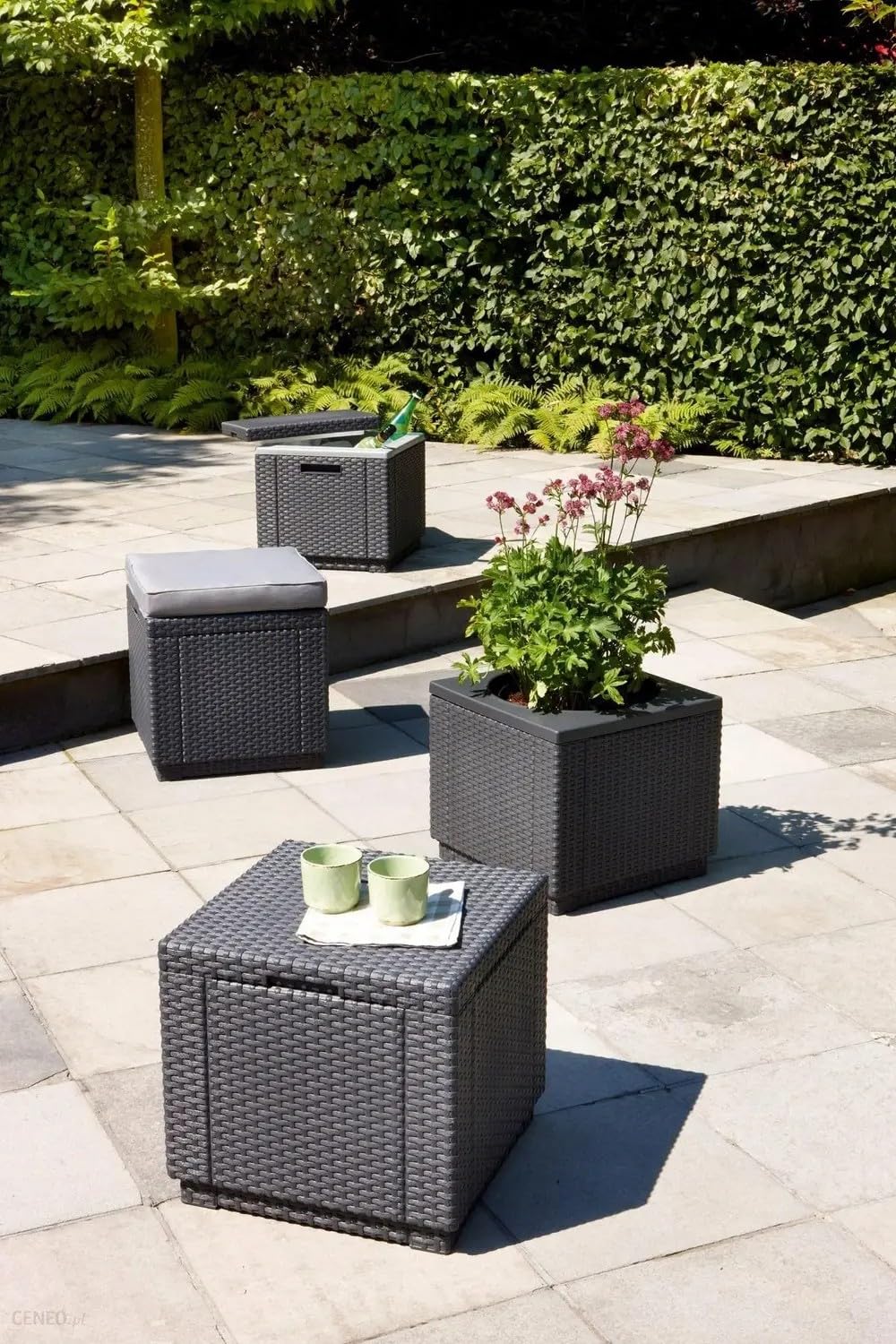 Allibert Hocker Cube Graphit INKL. Kissen