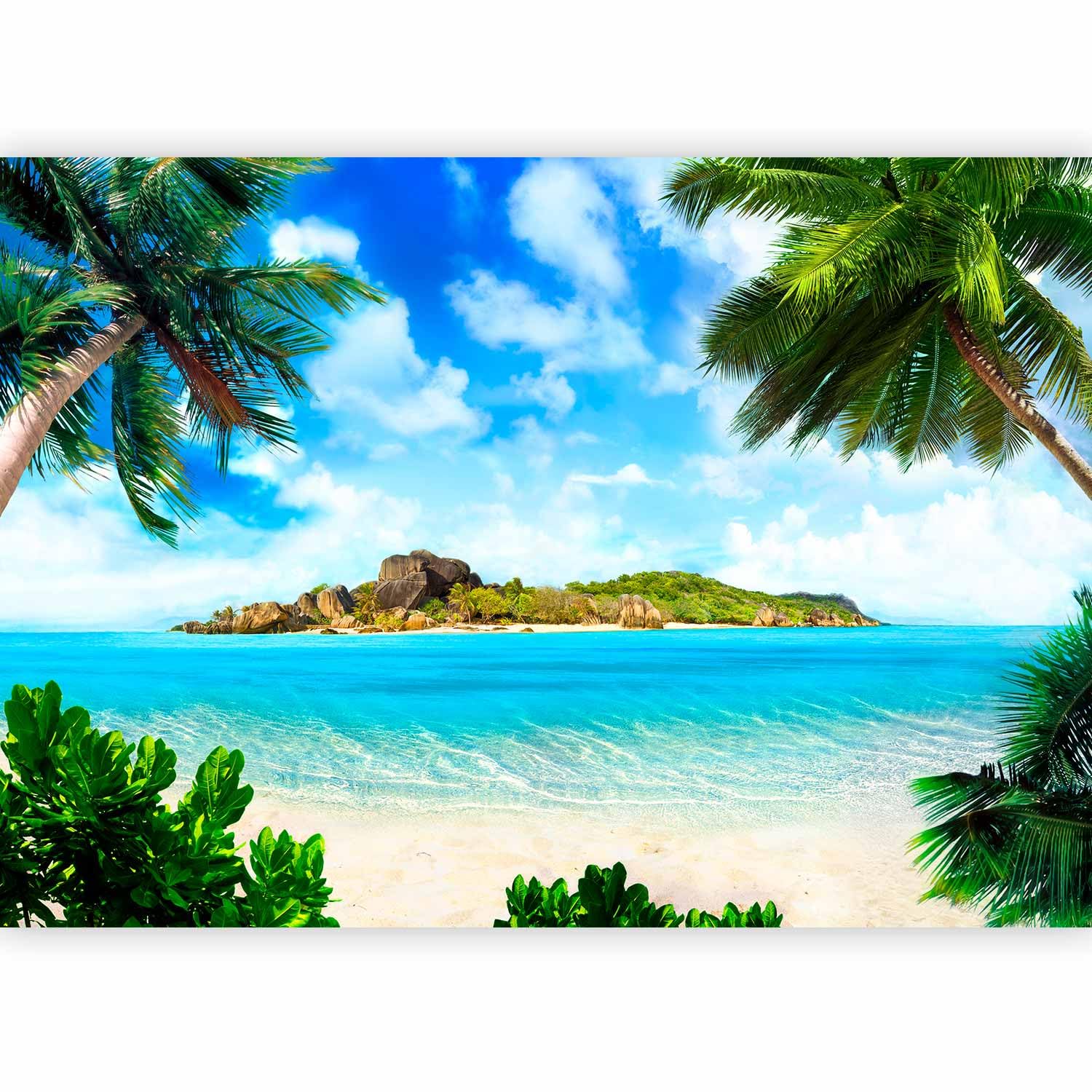 murando Premium Photo Wallpaper Palm 350x256 cm / 138"x97"