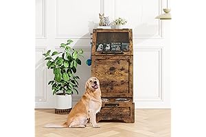 Dog Feeding Station with 2 Elevated Dog Bowls