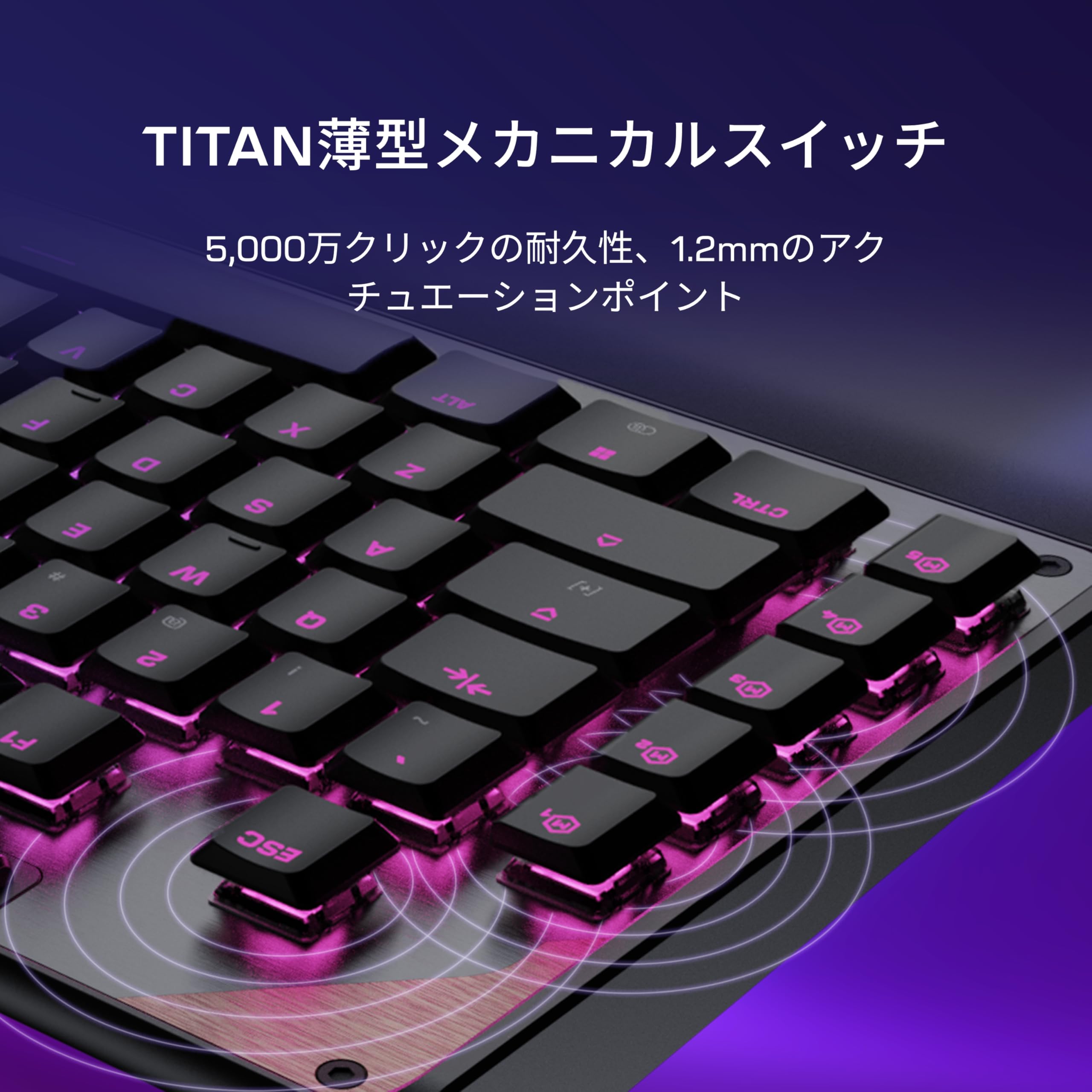 Amazon.co.jp: 【Amazon.co.jp限定】TURTLE BEACH Command Series KB5