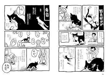 【中古】 私という猫/幻冬舎コミックス/イシデ電 私という猫 (バーズコミックス スペシャル) | イシデ 電 |本