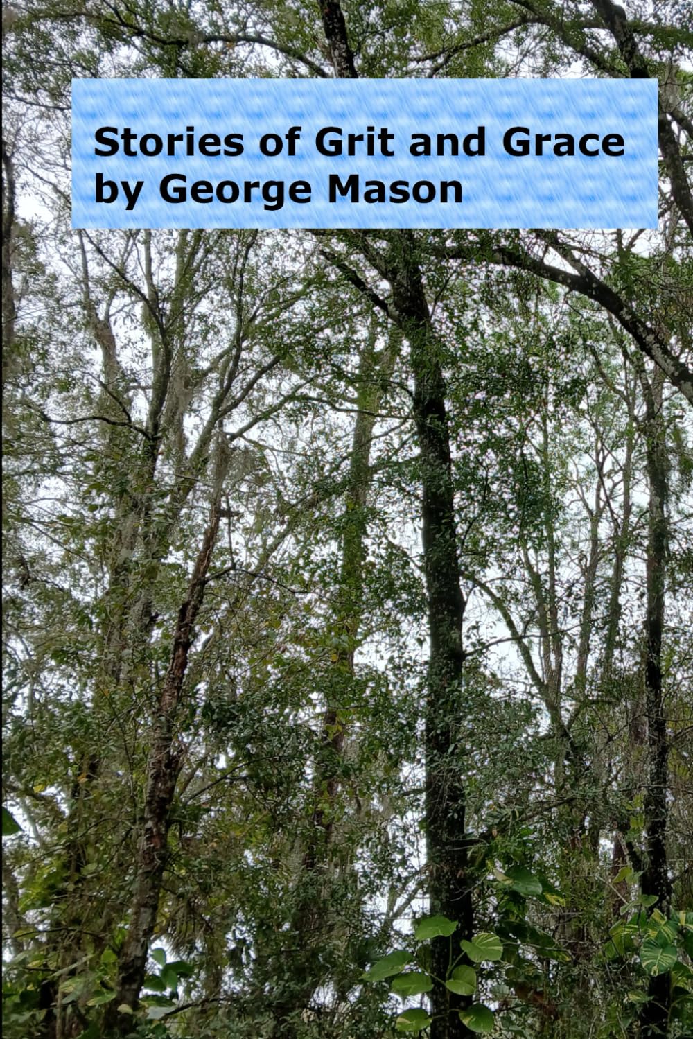 Stories of Grit and Grace: 1 (Earthbound Chronicles)