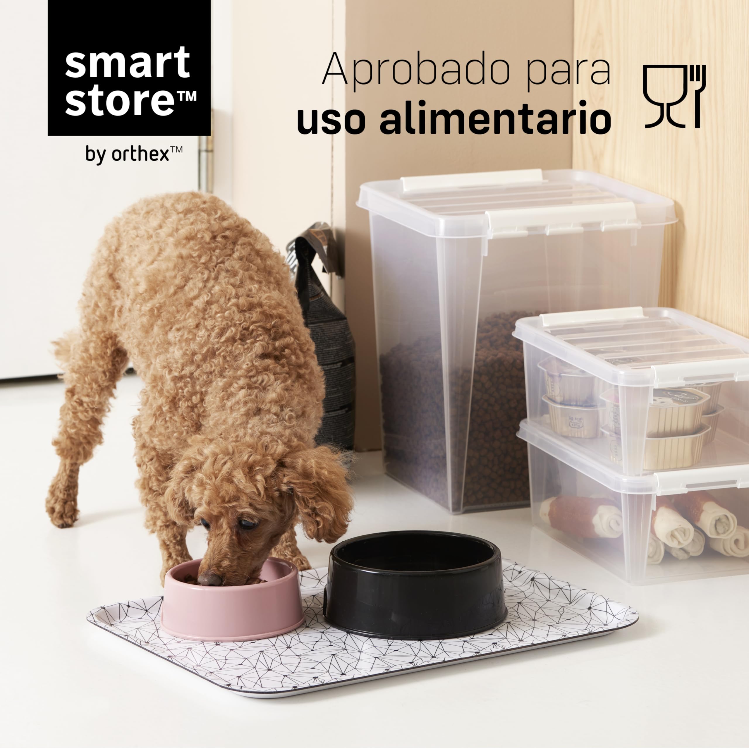 SmartStore Cajas de almacenamiento de plástico transparente de 14 litros con tapa, paquete de 10, reforzadas, seguras para alimentos, con cierre de clip, apilables, sin BPA, 40x30x18cm