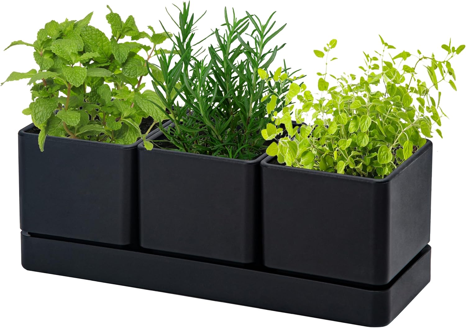 D'vine Dev Herb Garden Planter Set, Plastic Plant Pots with Drainage and Saucer, Indoor Succulent Cactus Vegetable Pot for Windowsill, Garden Balcony, Black, Set of 1, 76-V-B-1 12" Black