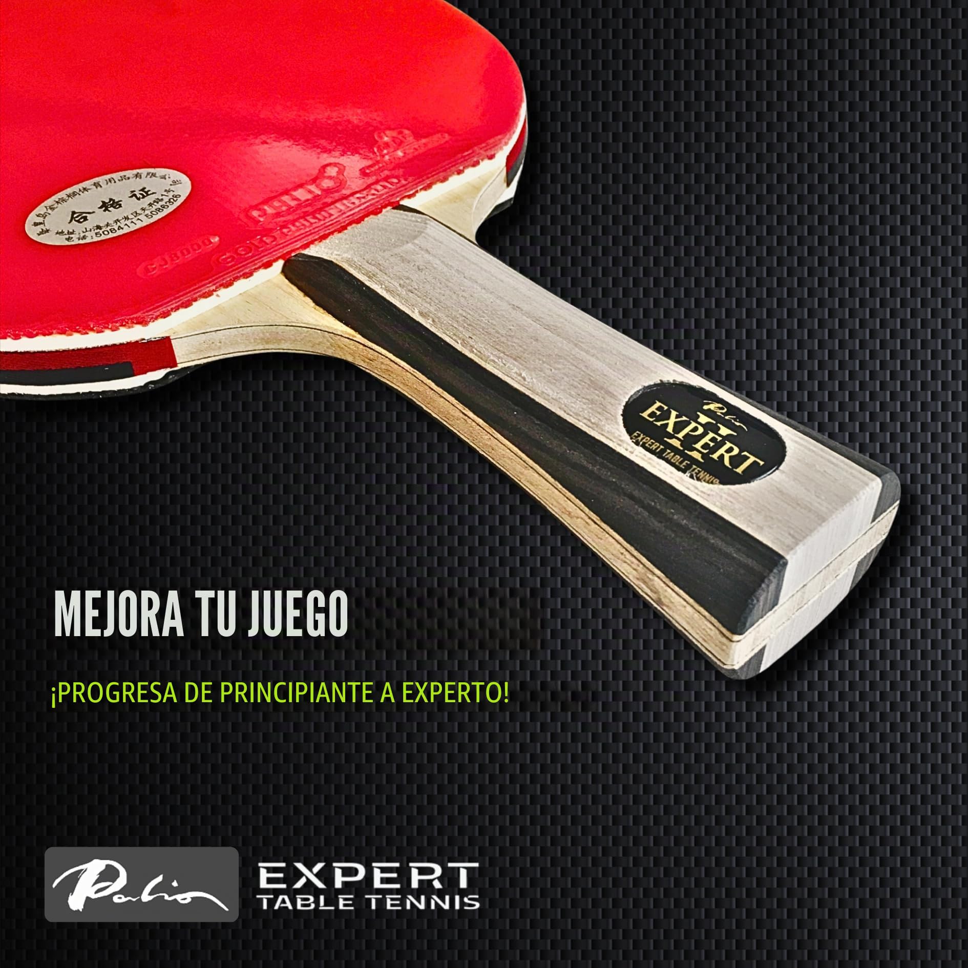 Palio Expert 2.0 - Pala de Tenis de Mesa y Estuche | Raquetas de Ping Pong de Alto Rendimiento aprobadas por la ITTF para Principiantes | Máximo Giro y Control