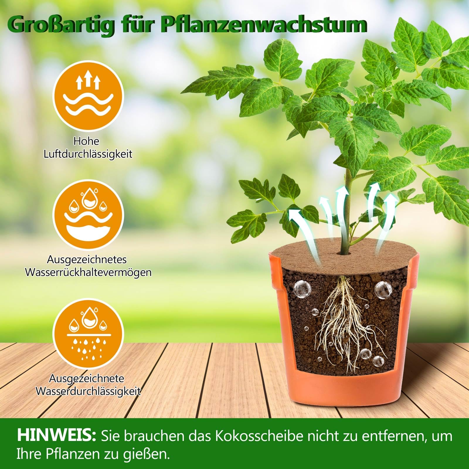 Kokosfaser-Mulchscheiben, 30 Cm – 3 Stück, Natürlicher Pflanzenschutz, Unkrauthemmung, Für Töpfe & Beete