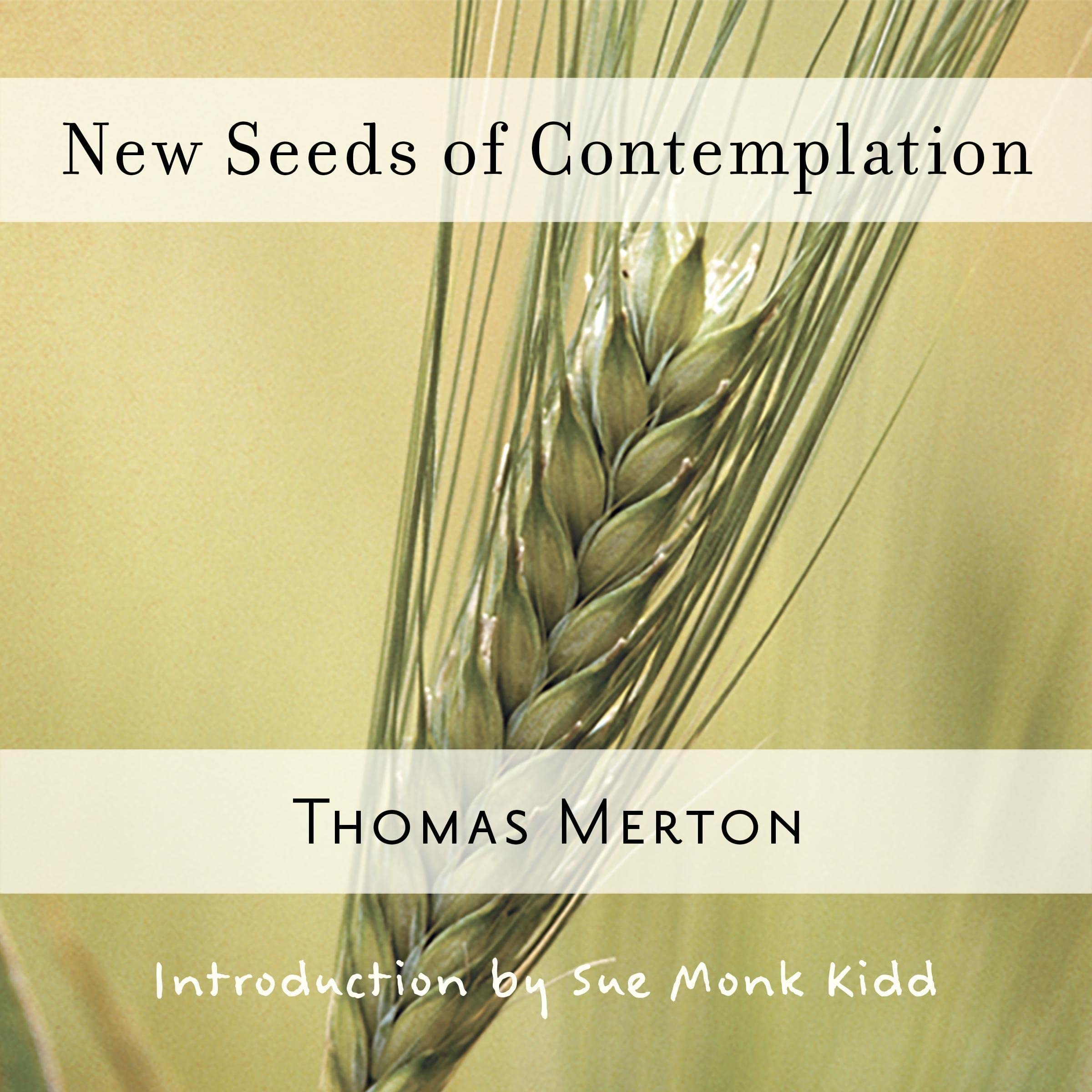 New Seeds of Contemplation