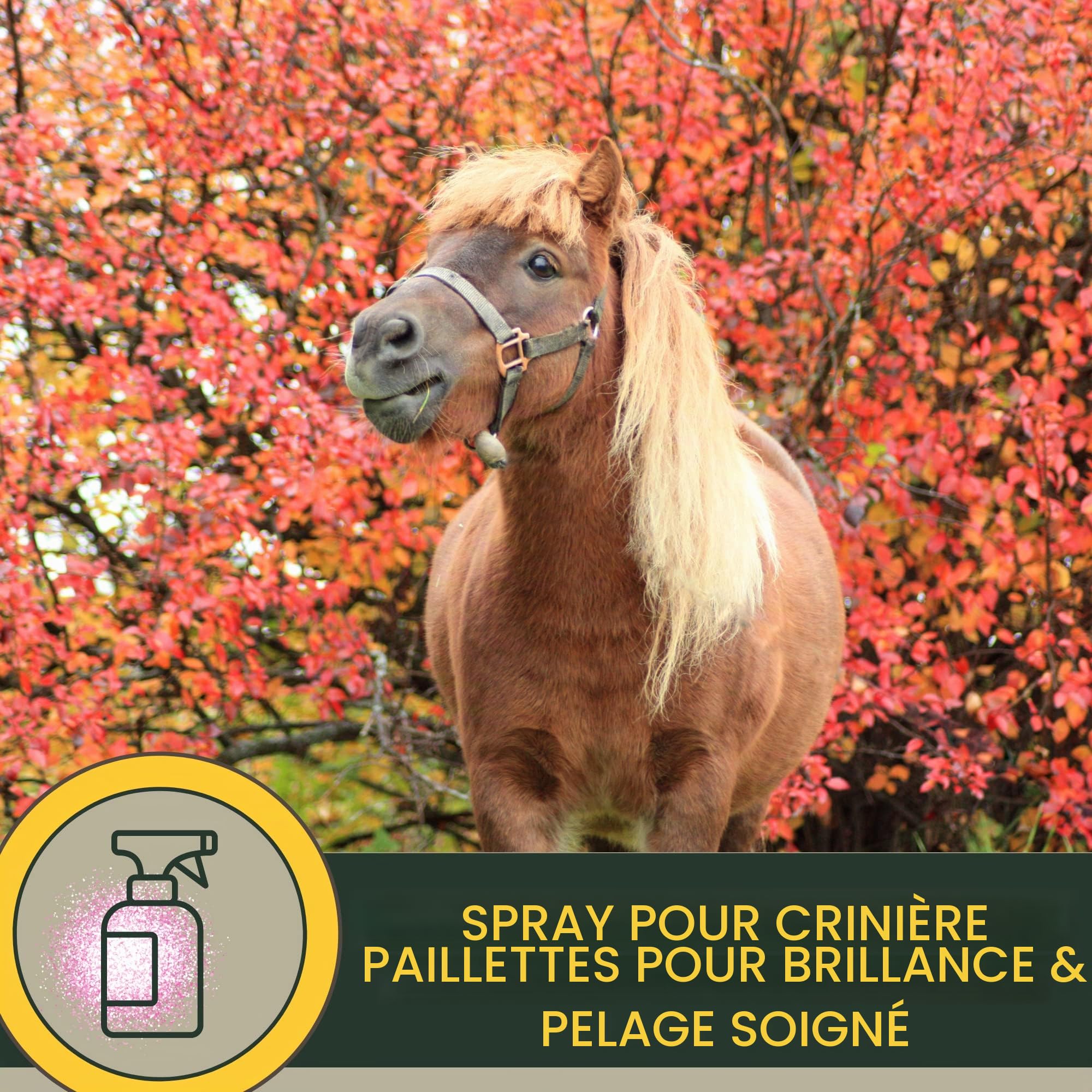 Spray pour crinière de cheval I Spray pailleté pour robe et poils longs I graisse pailleté I Kit de soins pour chevaux 3 pièces enfants I Spray pour queue rose I spray avec paillettes 500ml 2*250ml