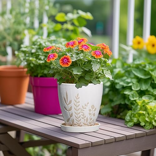 Miniatura 4 de Maceta de 6 pulgadas con drenaje y platillo Pequeña maceta decorativa para suculentas, hierbas, plantas, maceta para suculentas