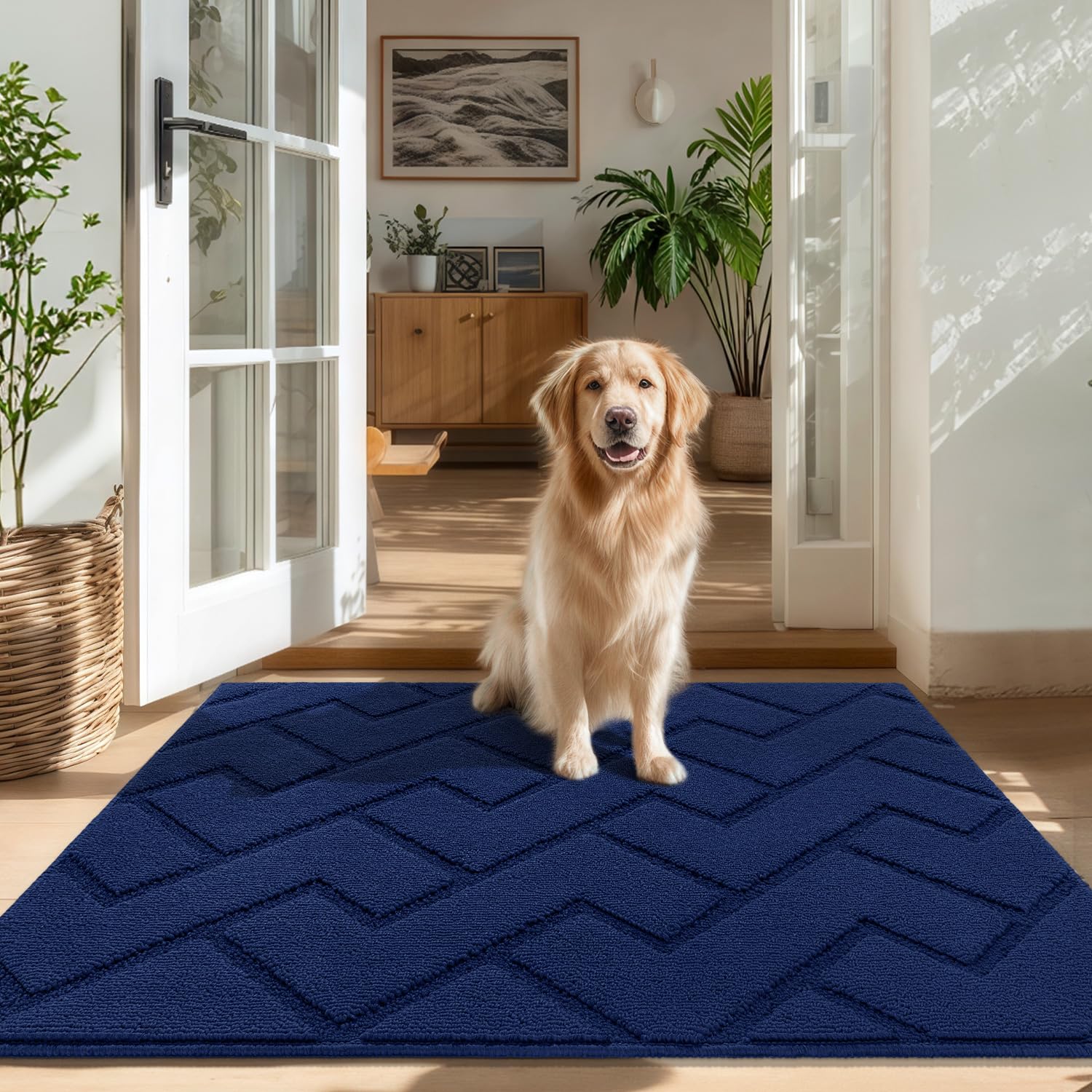 Biscpro Fußmatte Innen Außen Waschbar eingangsteppich innen Schmutzfangmatte rutschfest,Türmatte Innen Teppich für Eingang, Patio, Flur, Garten, Innen und Außen