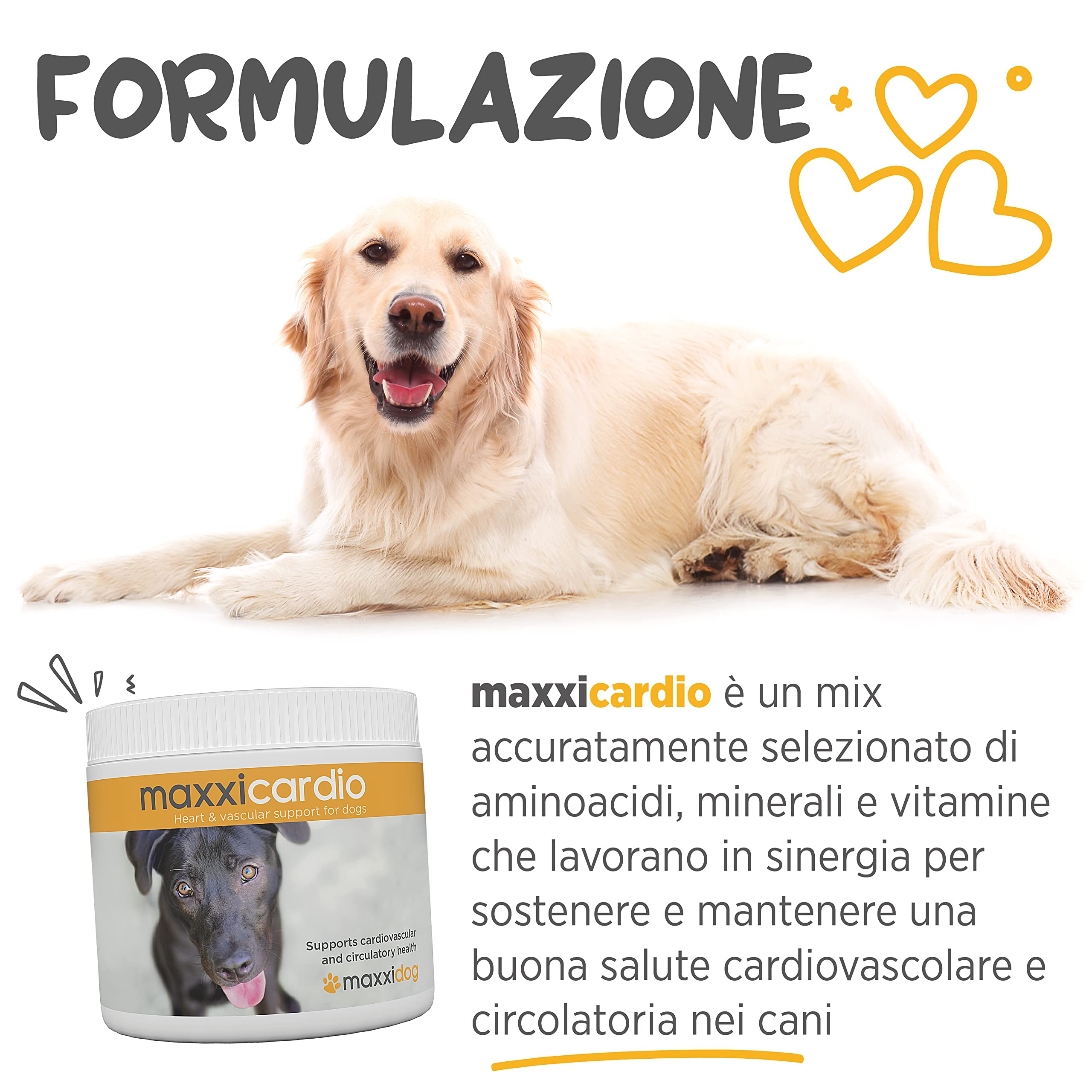 maxxipaws maxxicardio Salute Cardiaca e Cardiovascolare per Cani - Integratore in Polvere, 150g