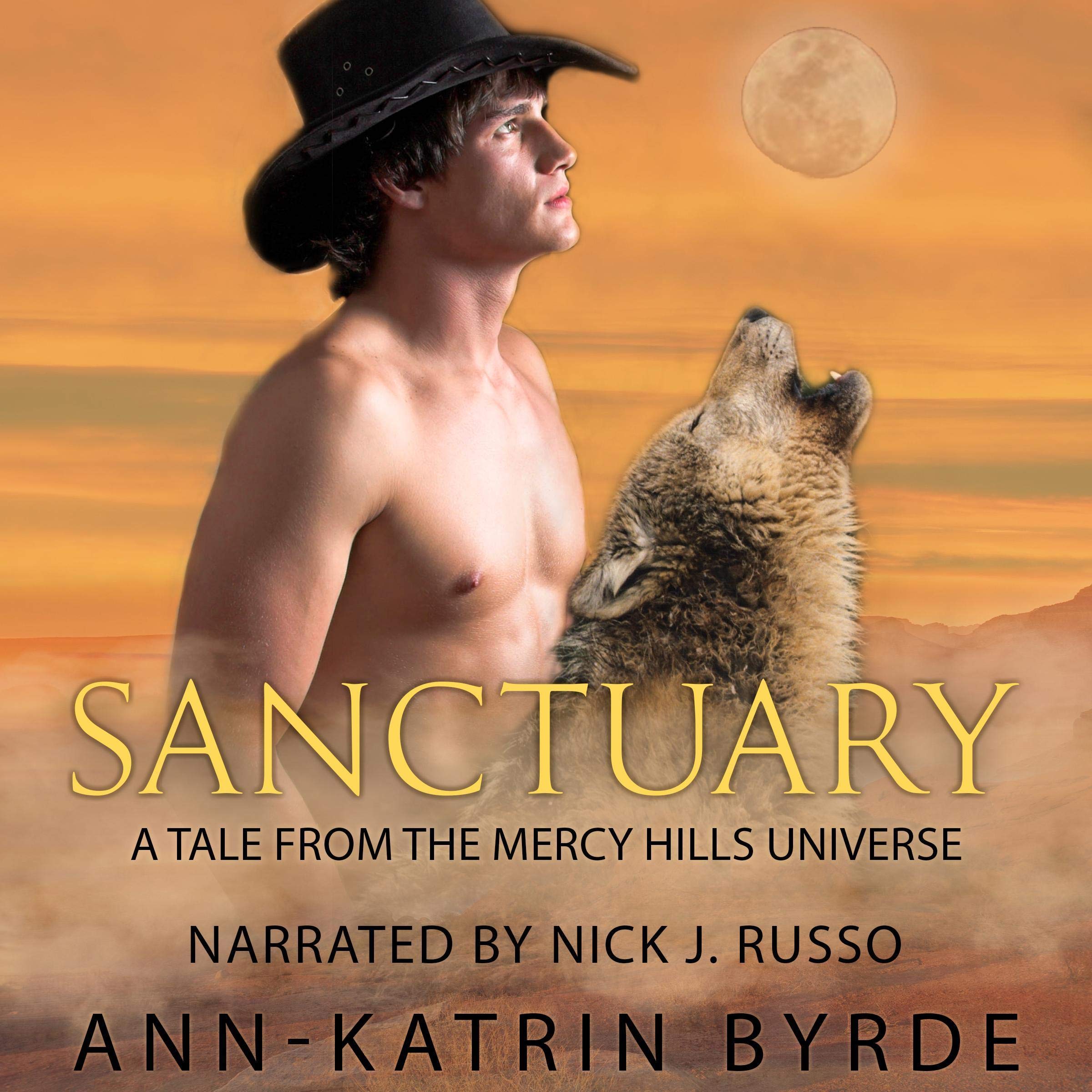 Cover art for Sanctuary: A Tale from the Mercy Hills Universe