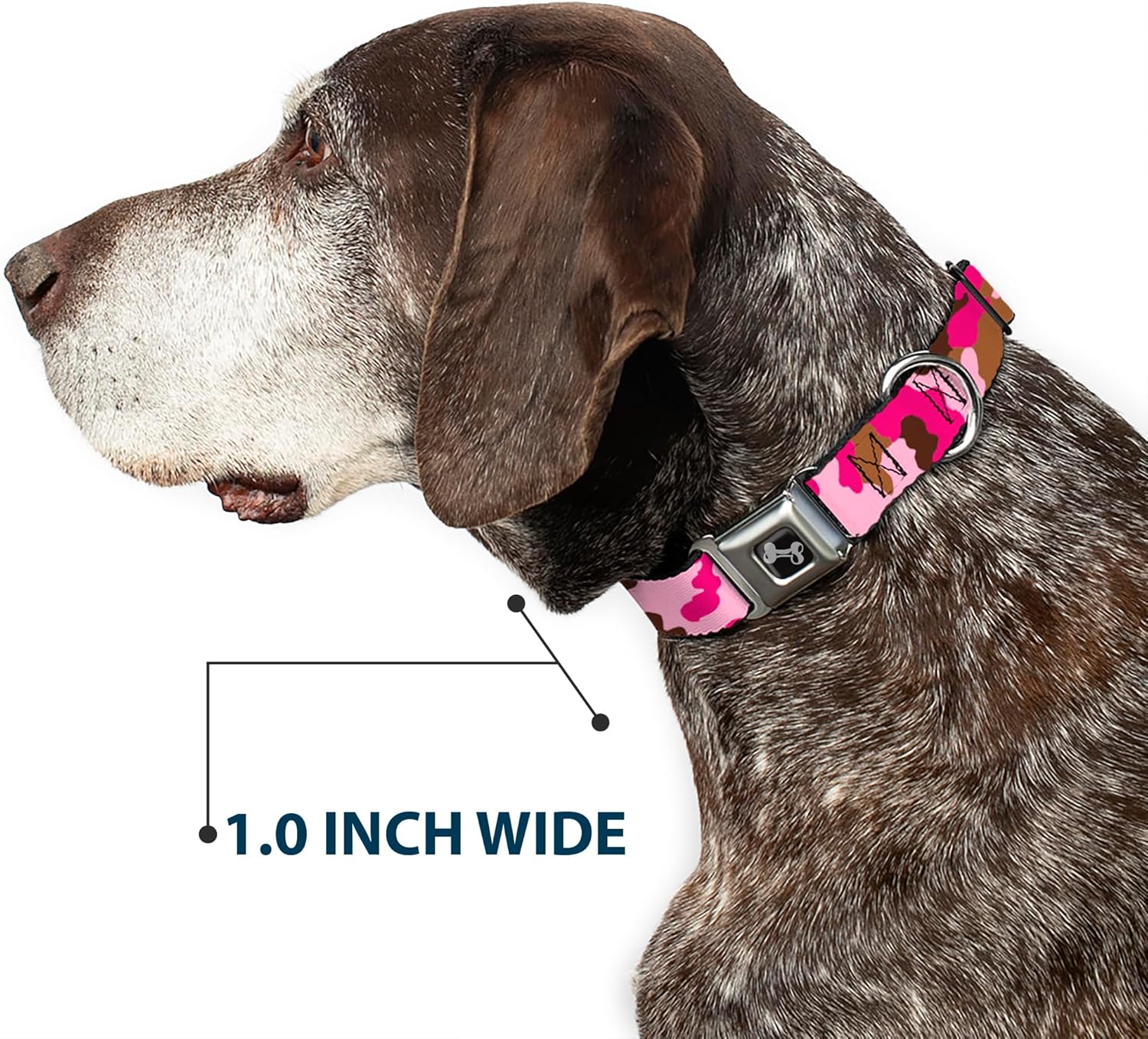 Buckle-Down Seatbelt Buckle Dog Collar - Camo Pink - 1" Wide - Fits 9-15" Neck - Small