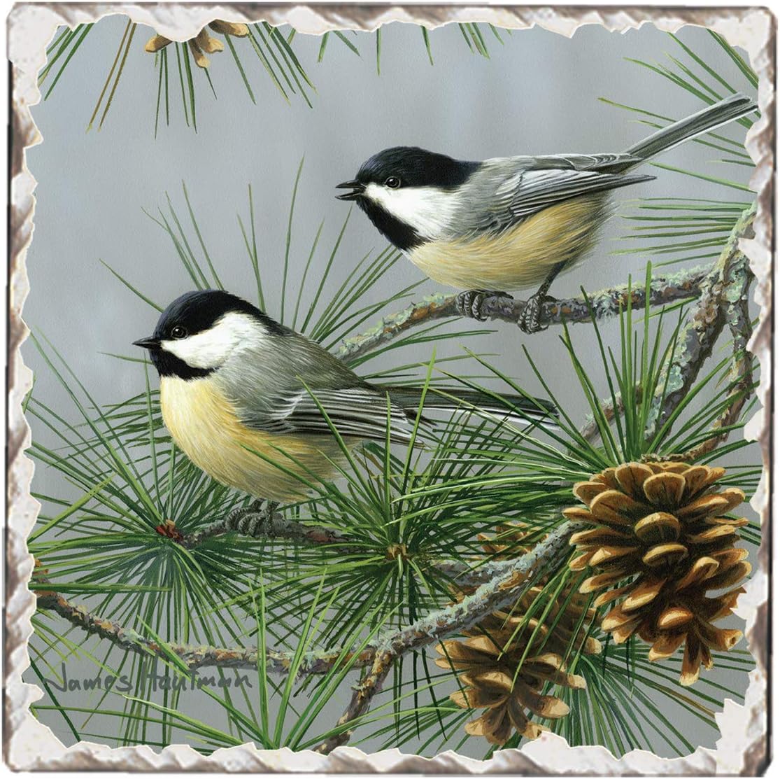 Thirstystone Pine Tree Chickadee Single Tumbled Tile Coaster Manufactured in The USA Create Your Own Collection