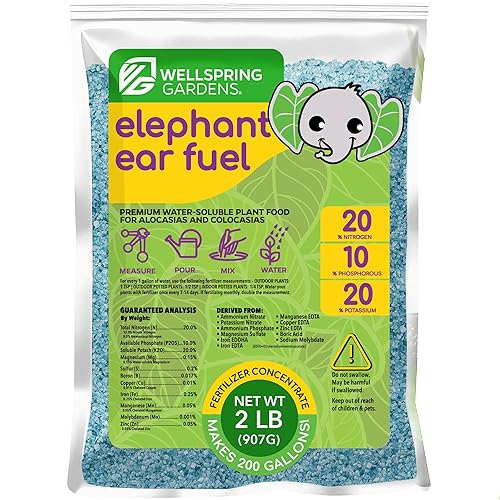 Elephant Ear Fertilizante Combustible - 2 libras - Mezcla soluble en agua 20-10-20 - Wellspring Gardens
