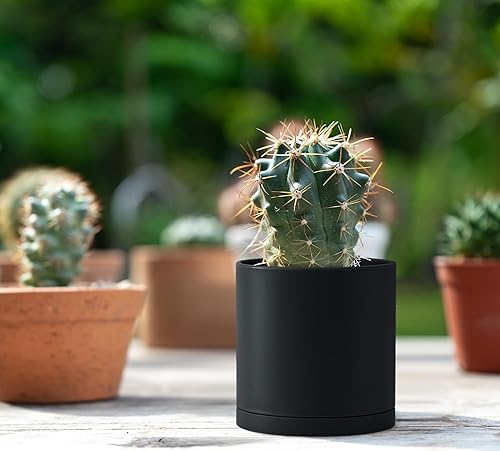 Miniatura 62 de D'vine Dev Paquete de 4 macetas de plástico modernas de 4 pulgadas, pequeñas macetas de jardín para plantas con agujeros de drenaje y platillos