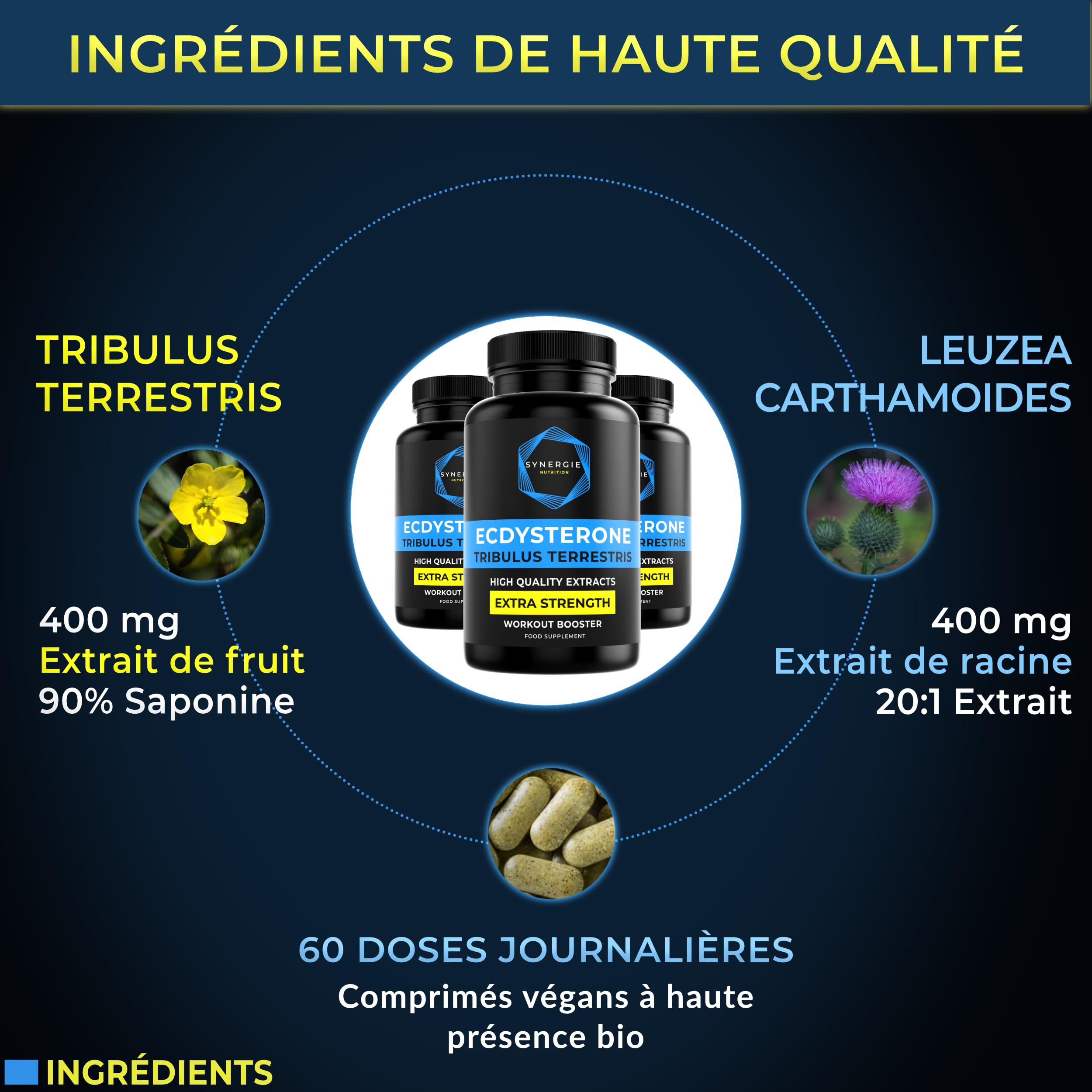 Ecdystérone - Tribulus Terrestris, Complément alimentaire par Synergie Nutrition - 400 mg d'extrait de Tribulus 90%+ de saponines - 400 mg d'extrait de Leuzea 20:1 - 60 doses quotidiennes