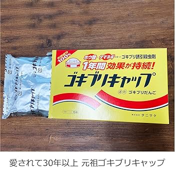 anything ゴキブリ　総柄　キャップ ☢ anything ゴキブリ 総柄 キャップ