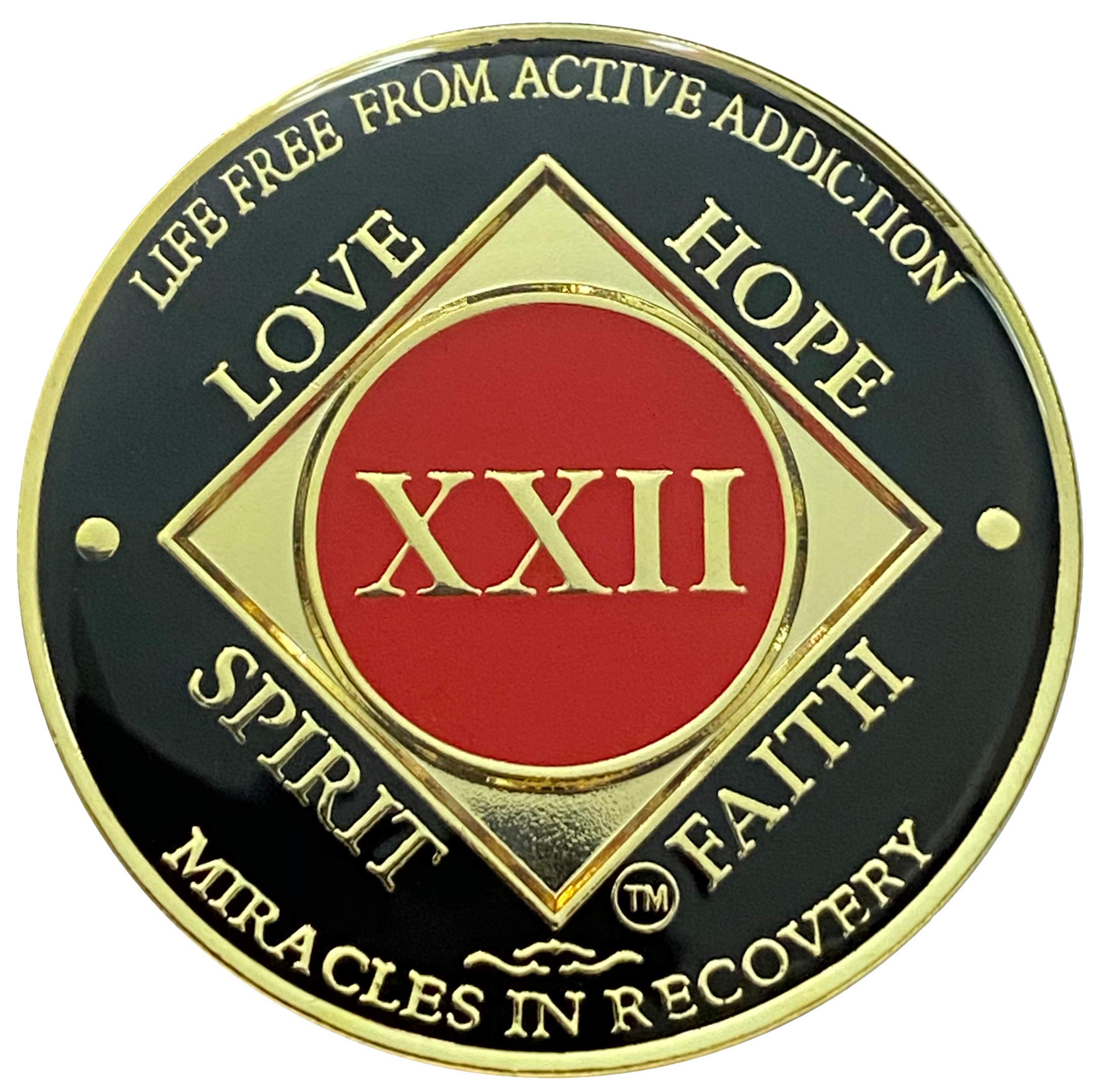 Simply MinimalSimply Minimal 22 Year NA Coin Gold Color Plated-Medallion,12 Steps Recovery NA Token