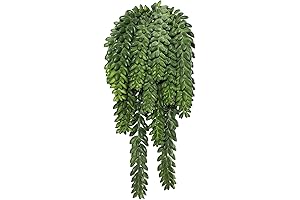 Vickerman Plastic Artificial Donkey Tail Plant