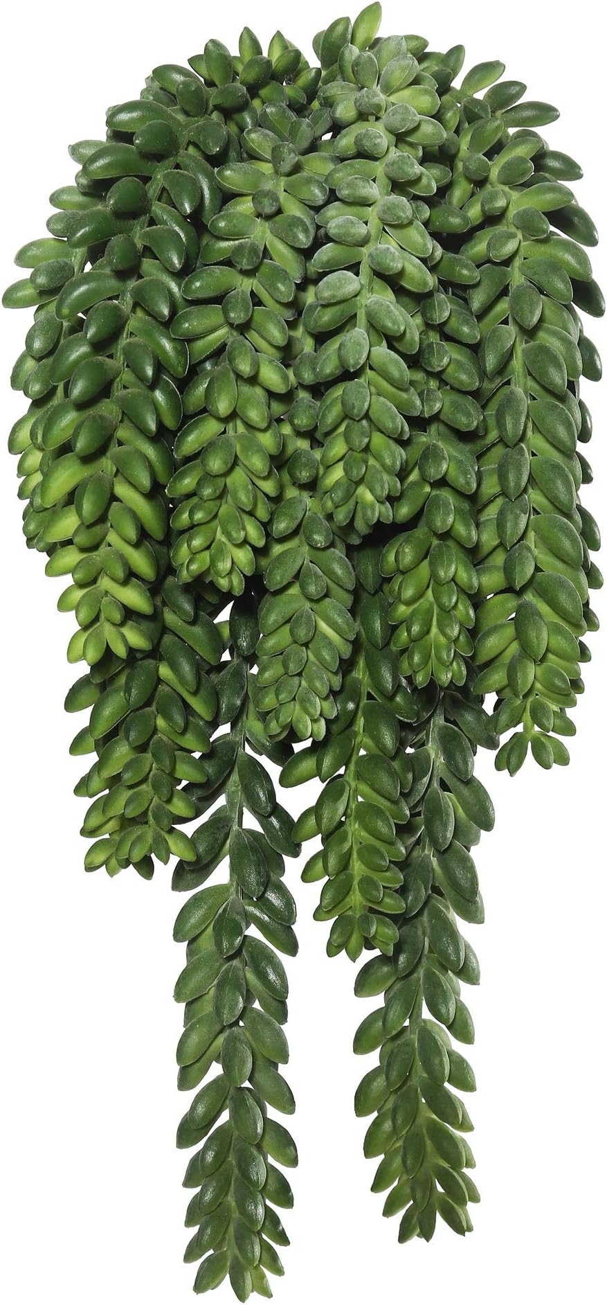 Vickerman 13" Plastic Artificial Green Donkey Tail Bush - Decorative Faux Spray of Durable Polyester - Faux Hanging Plant - Hanging Plant for Home or Office - Decorative Plants