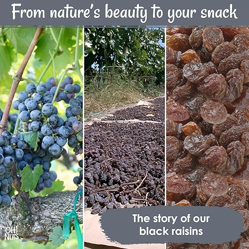 Miniatura 4 de Oh! Nuts Pasas negras – 1 libra – Fruta seca – Sin azúcar añadido – Bocados de frutas deshidratados – Empaquetado en bolsa de cierre de cremallera